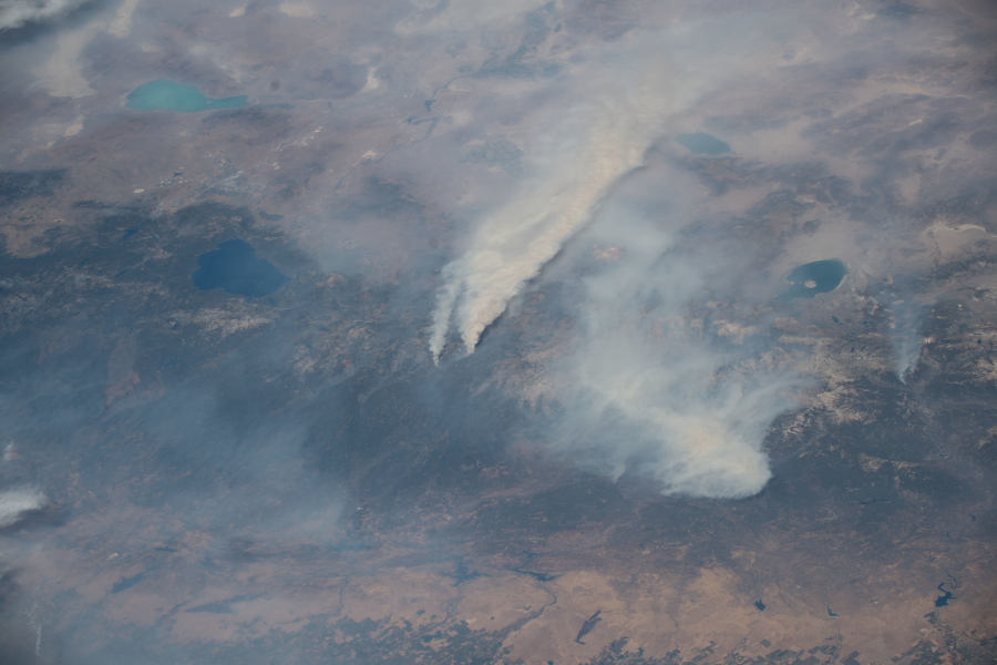 smoke category image