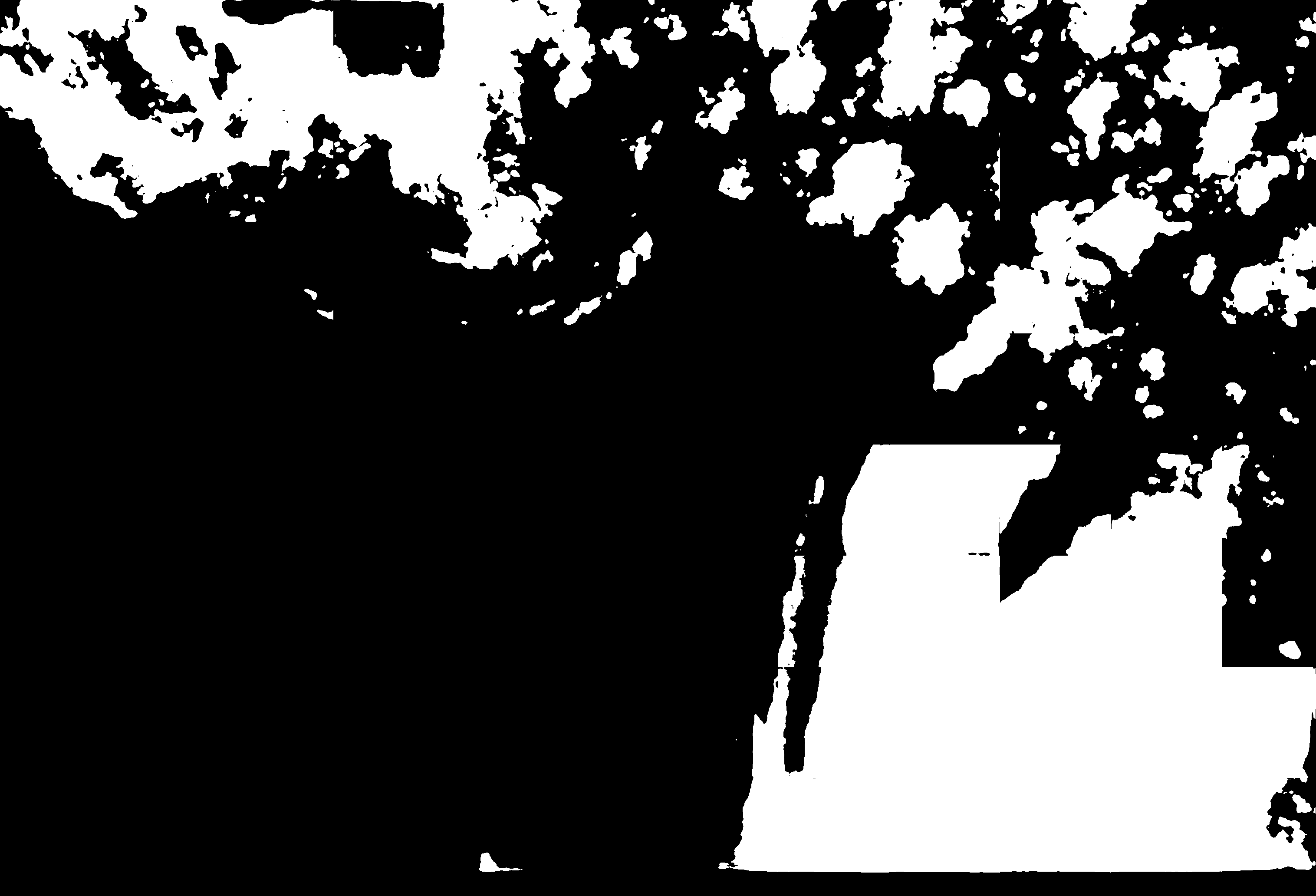 cloud mask image display 