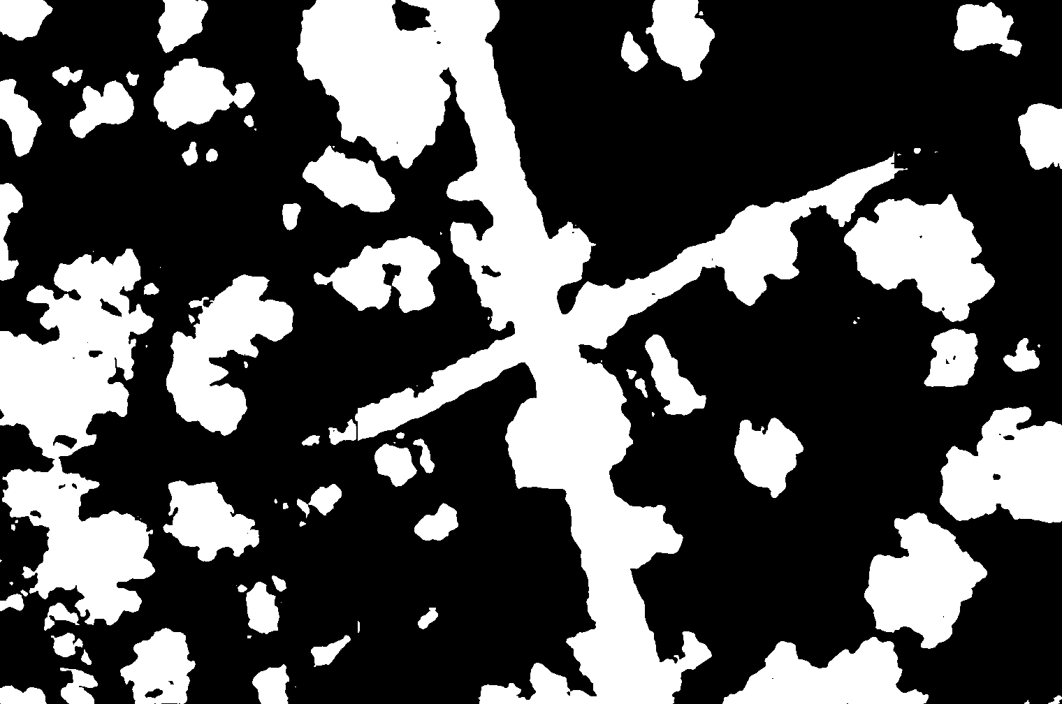 cloud mask image display 