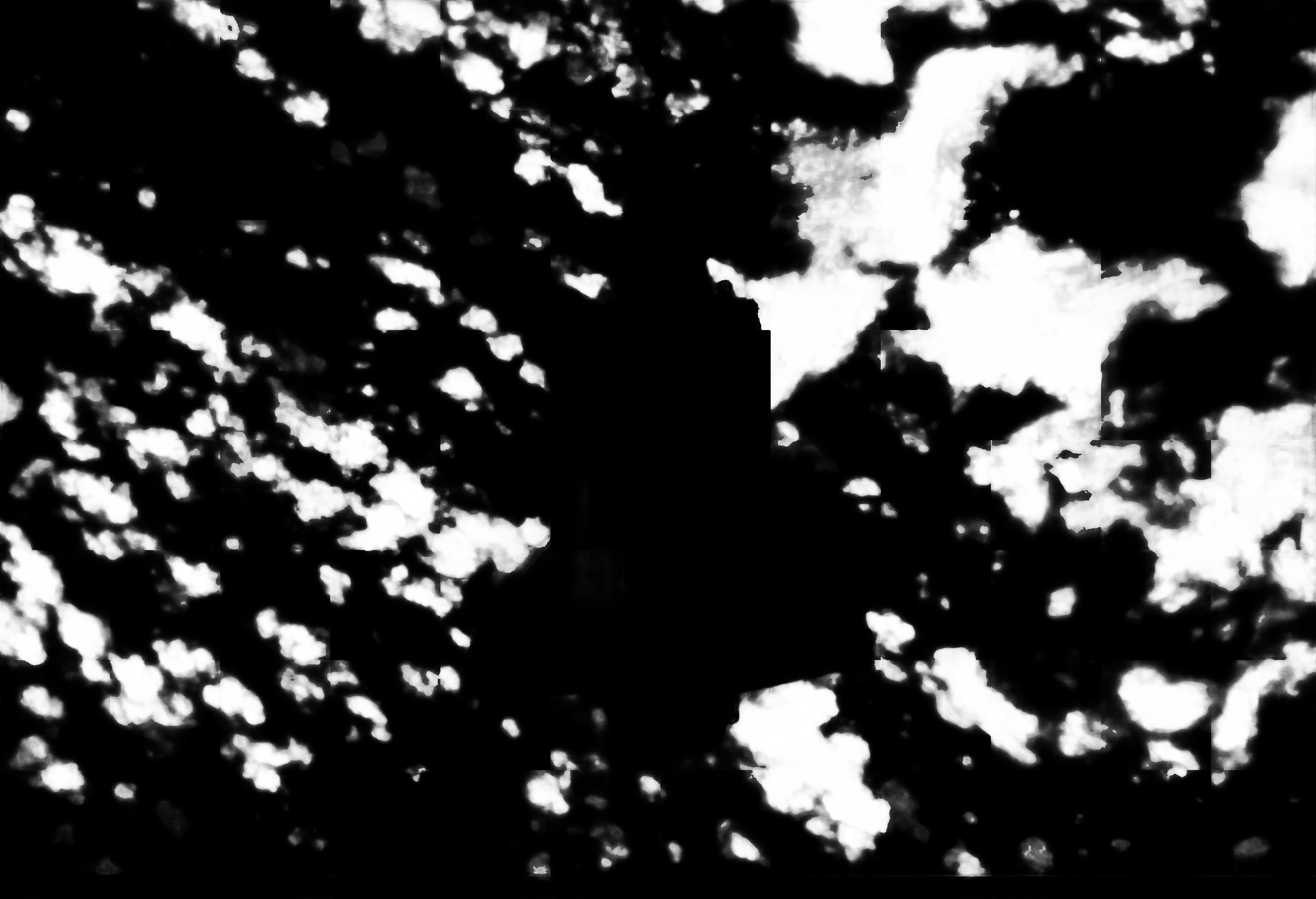 cloud mask image display 