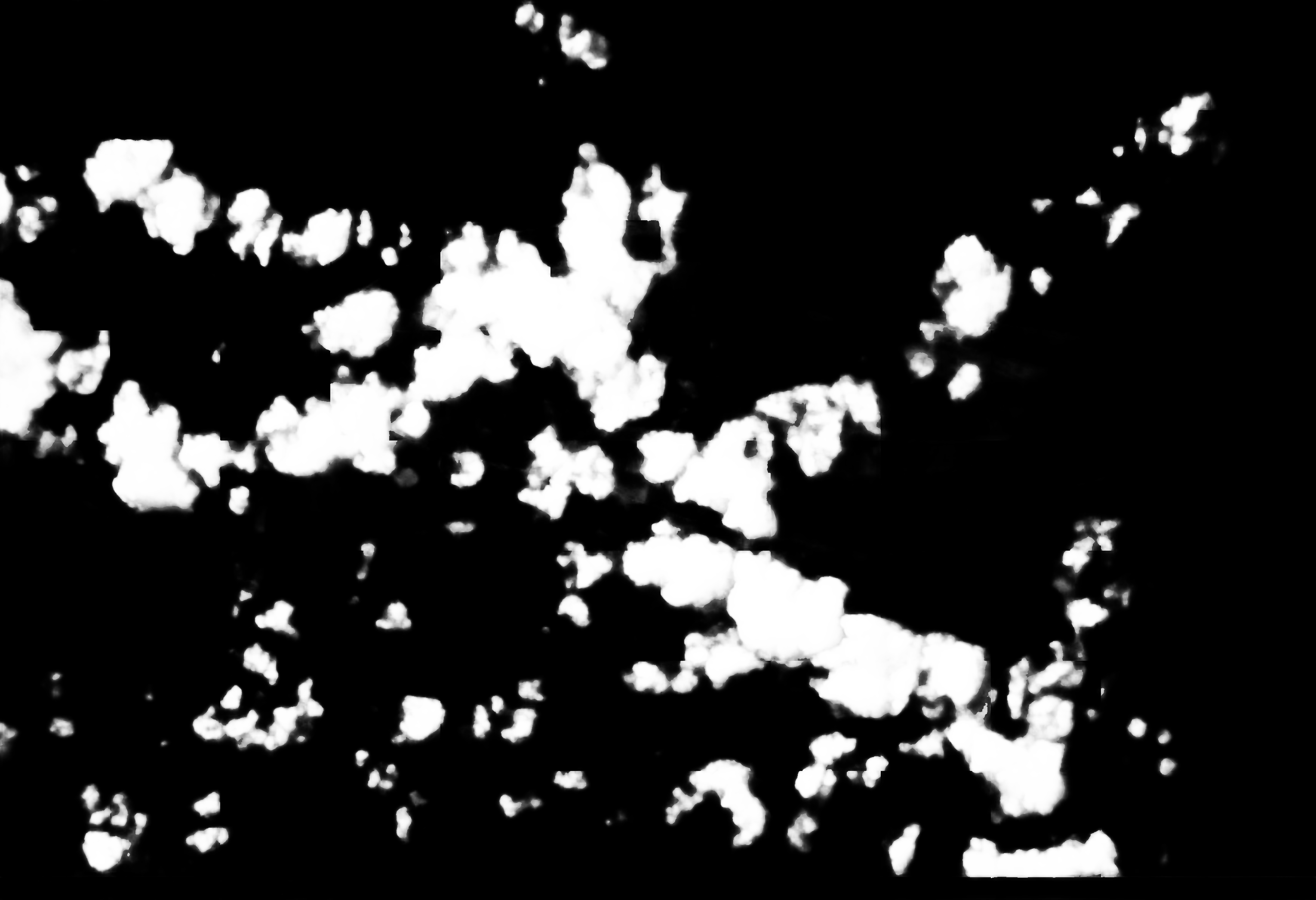 cloud mask image display 