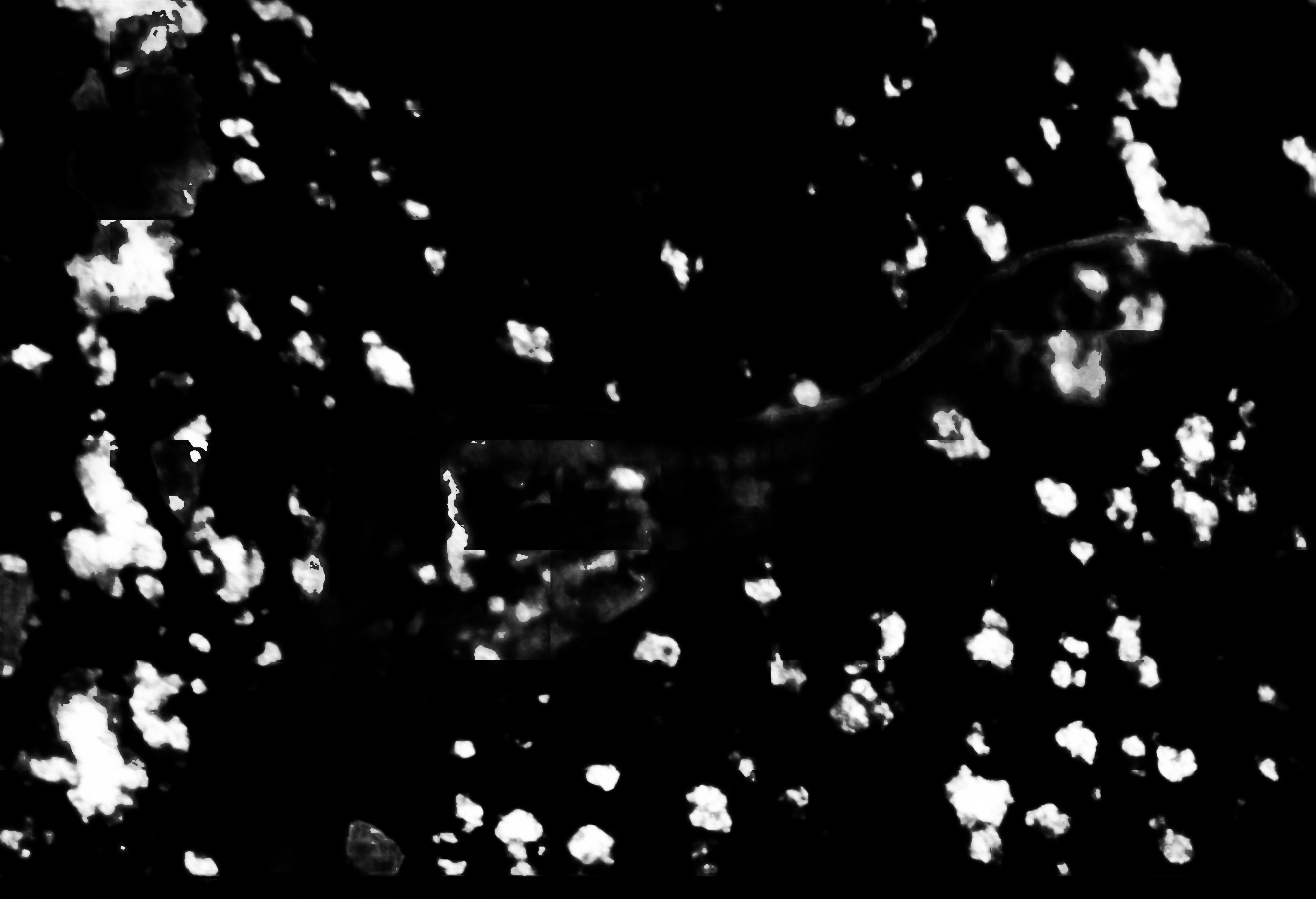 cloud mask image display 