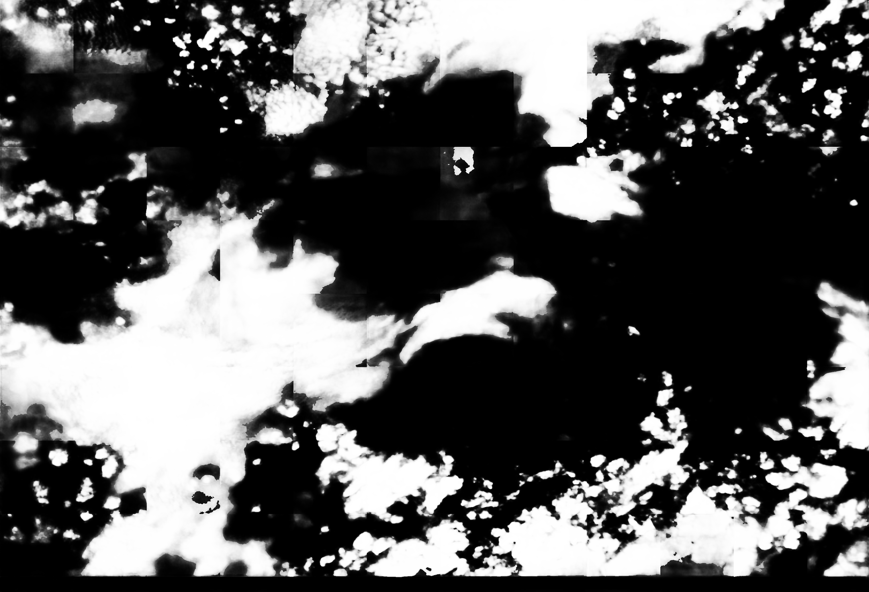 cloud mask image display 