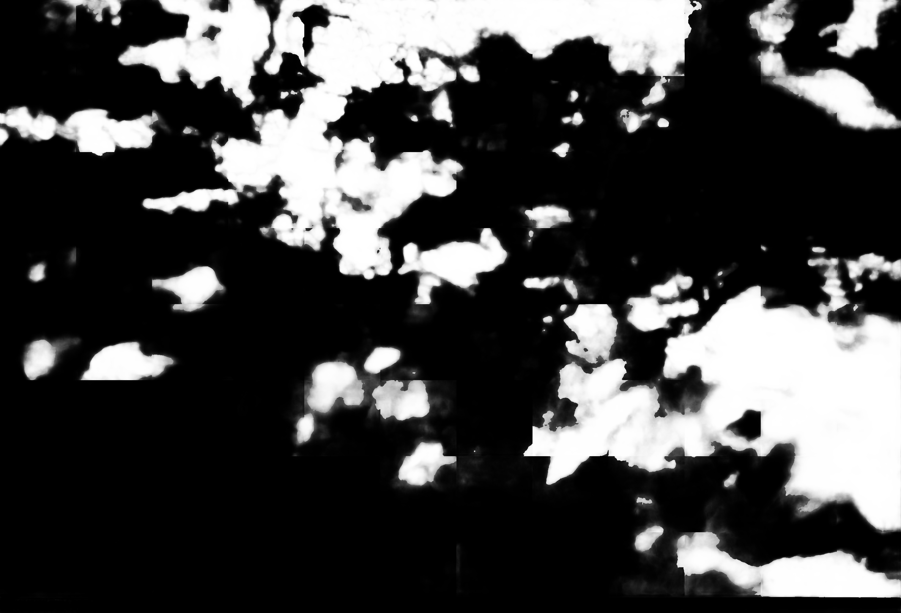 cloud mask image display 