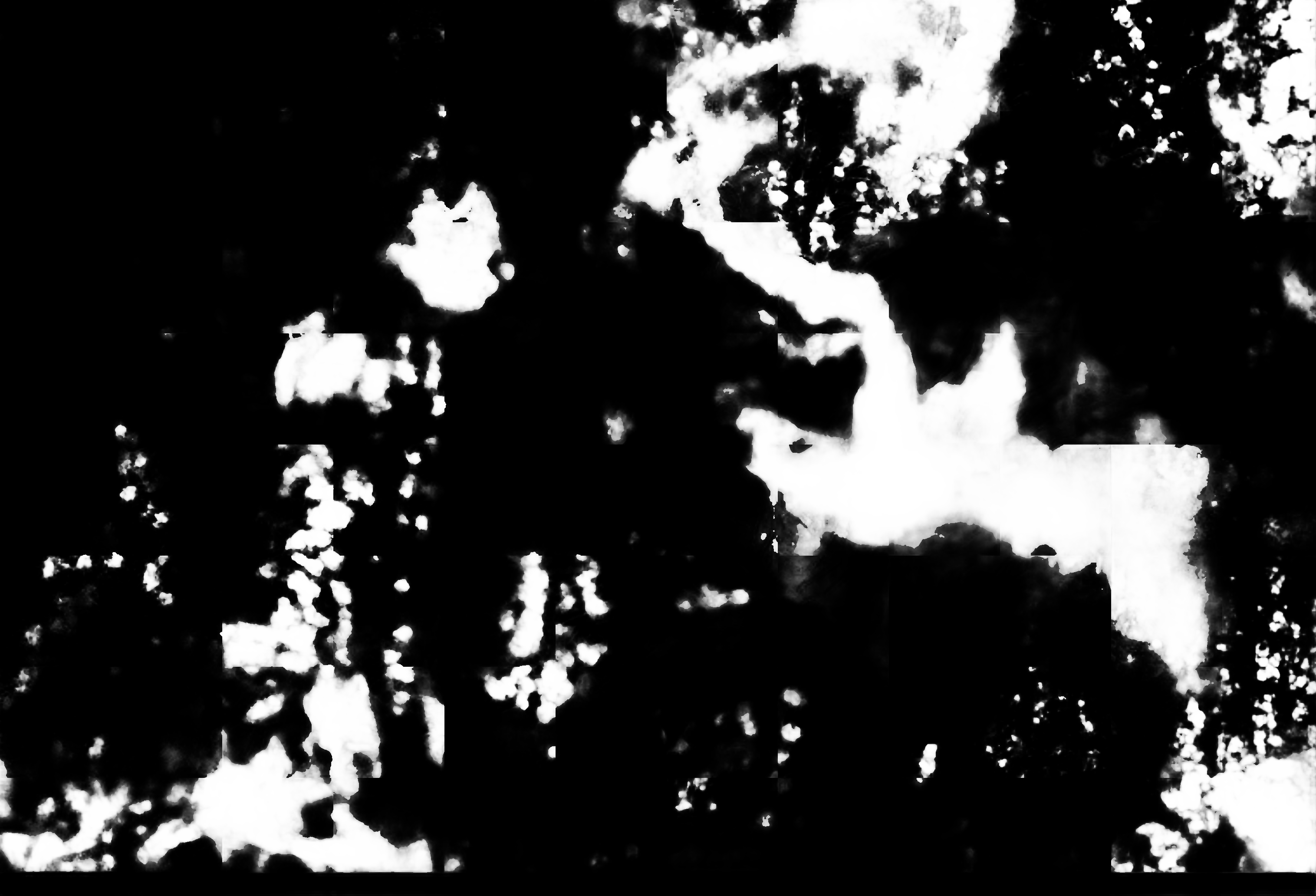 cloud mask image display 