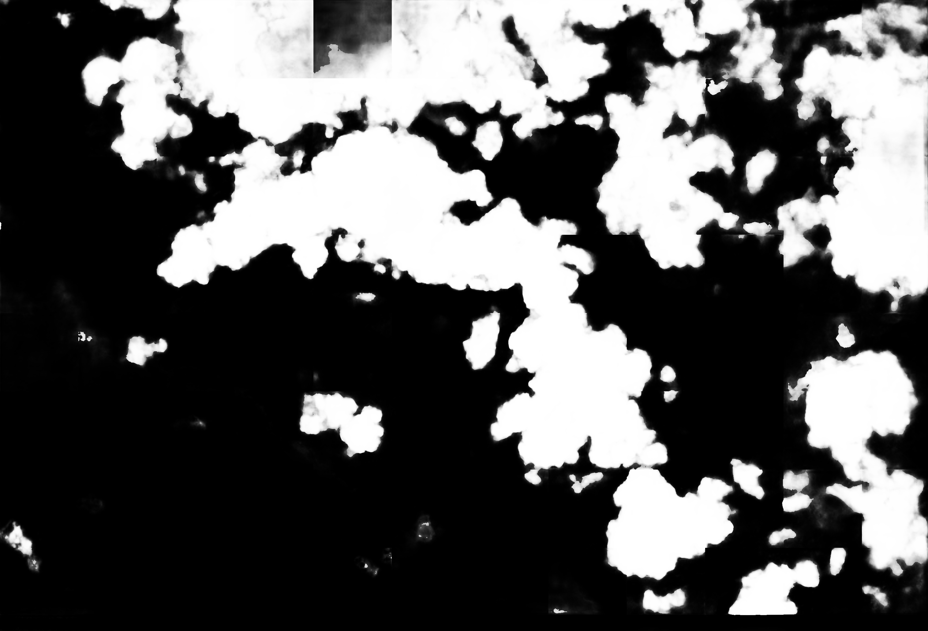 cloud mask image display 