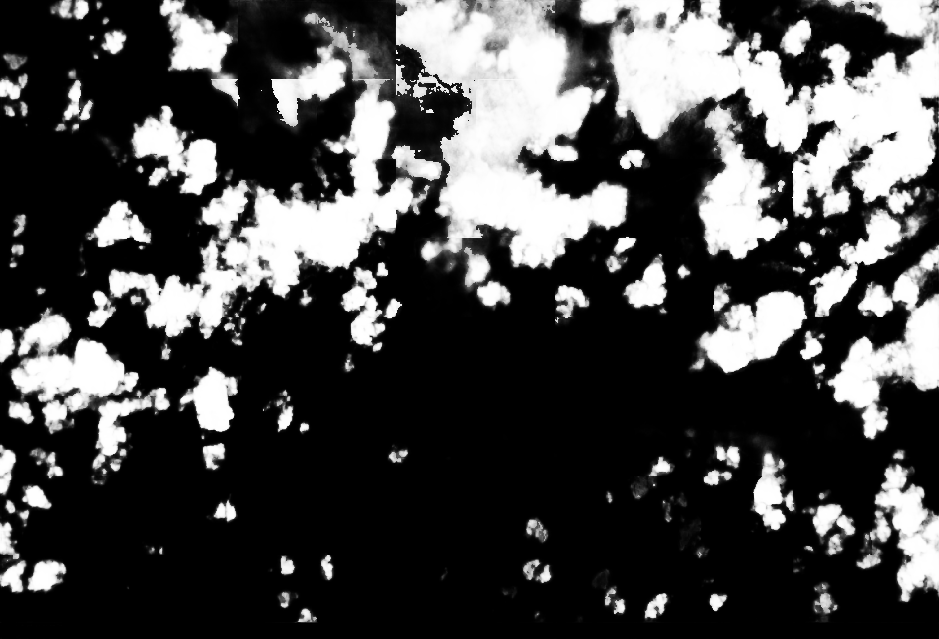 cloud mask image display 