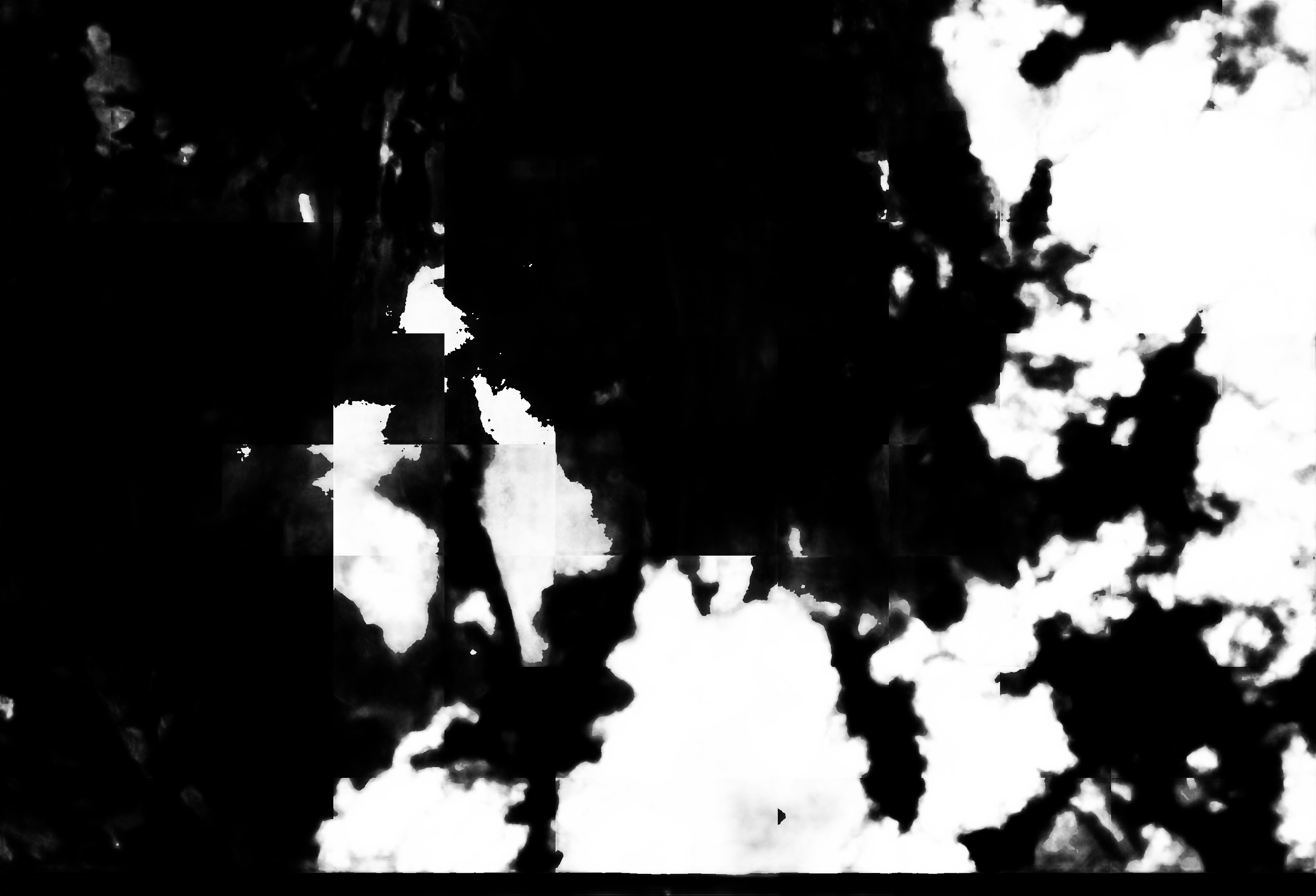 cloud mask image display 