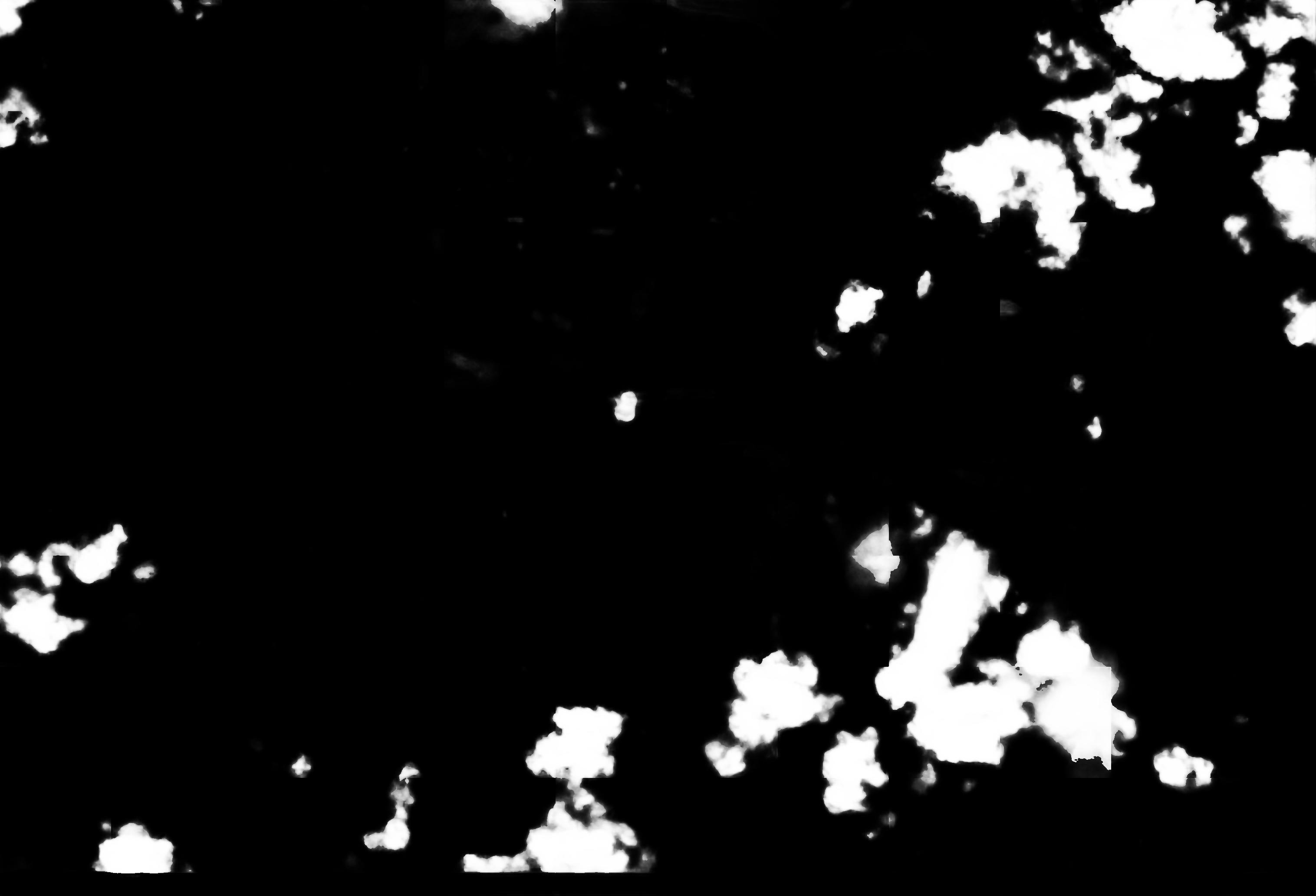 cloud mask image display 