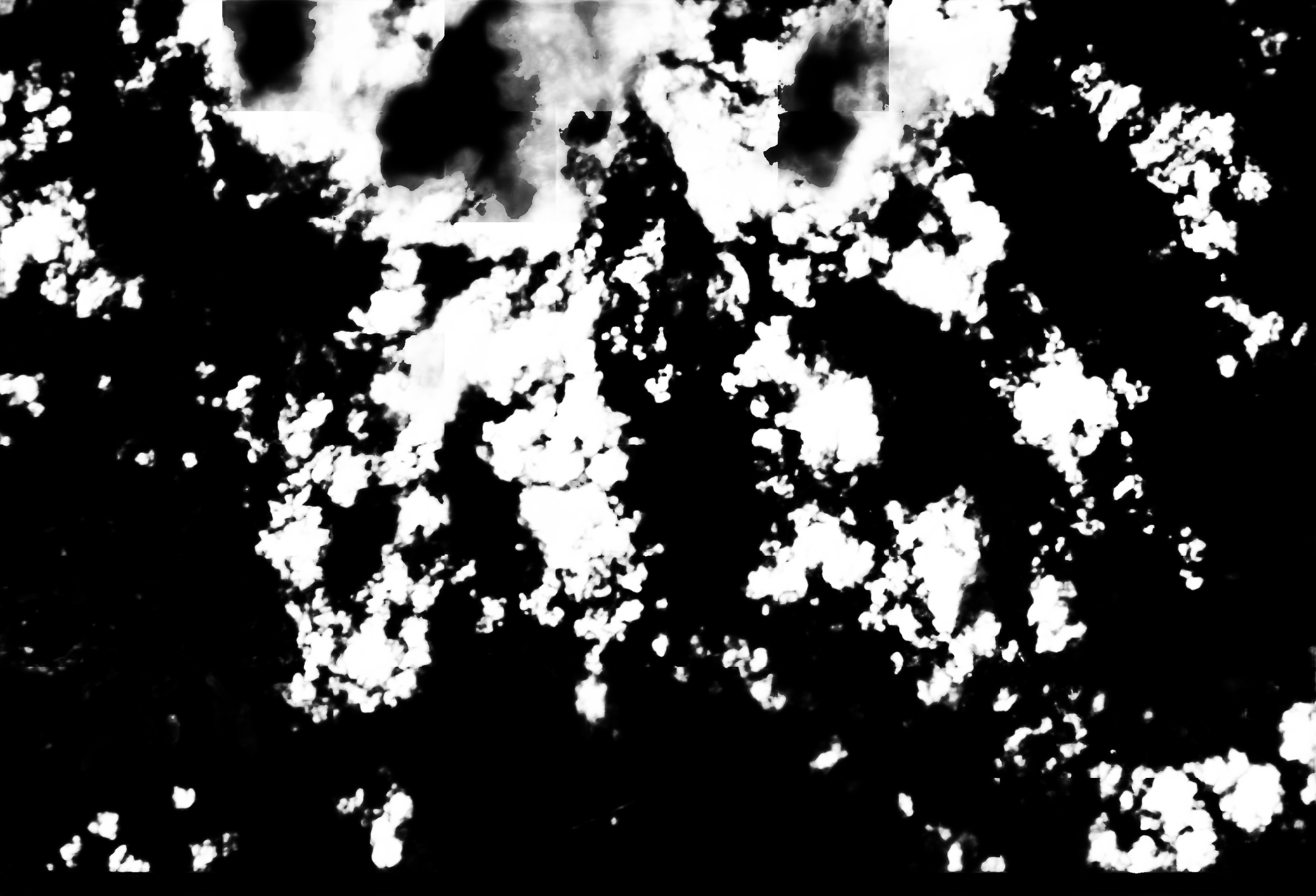 cloud mask image display 