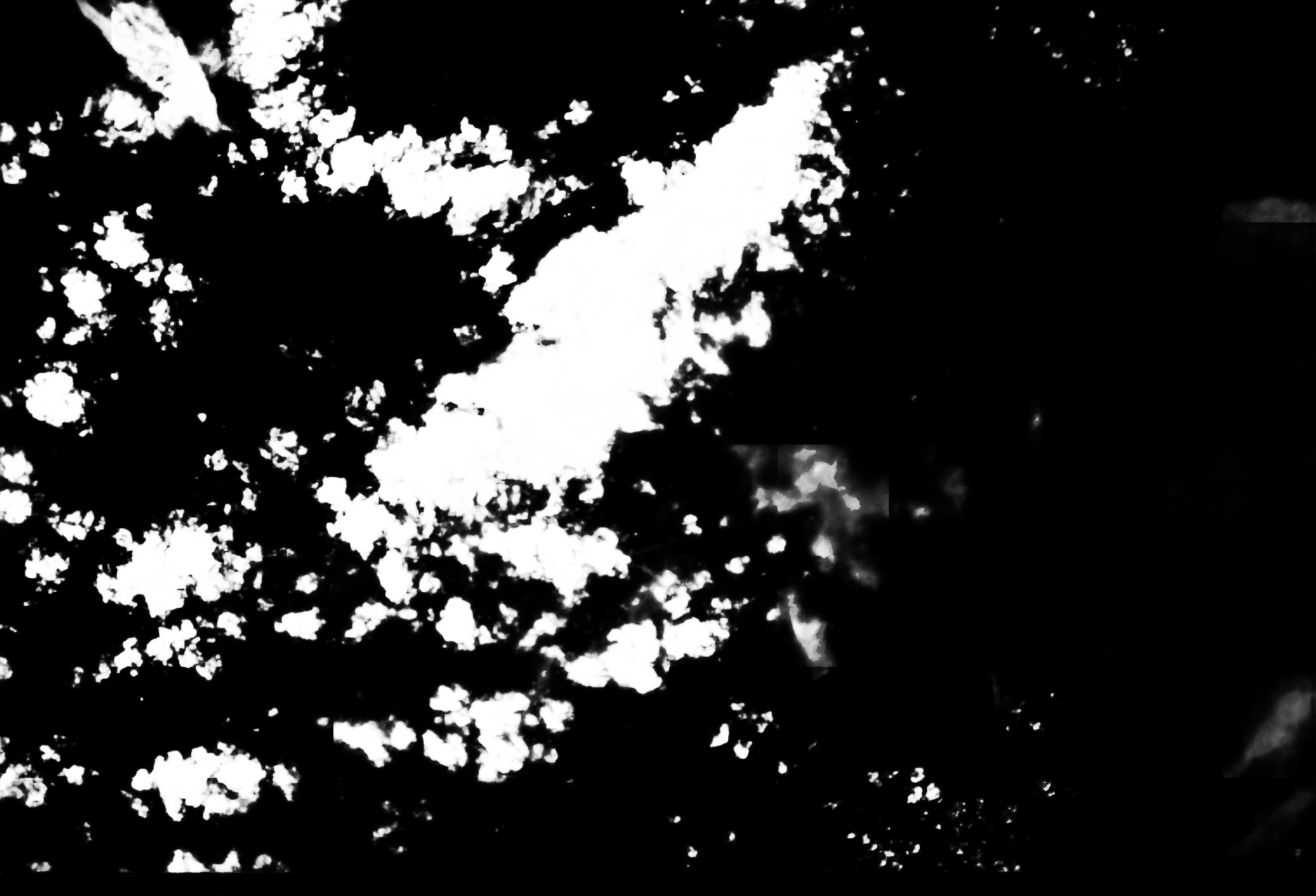 cloud mask image display 