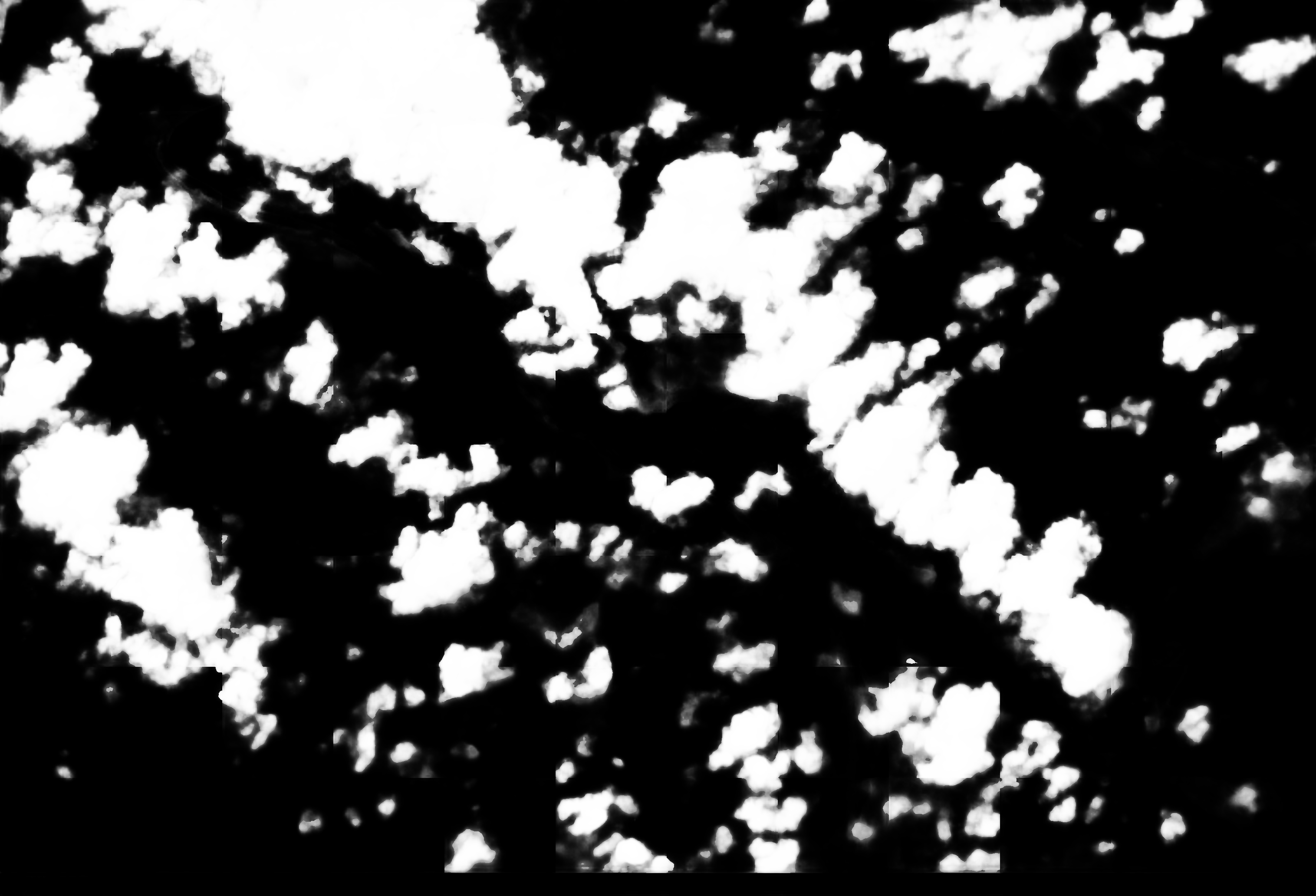 cloud mask image display 