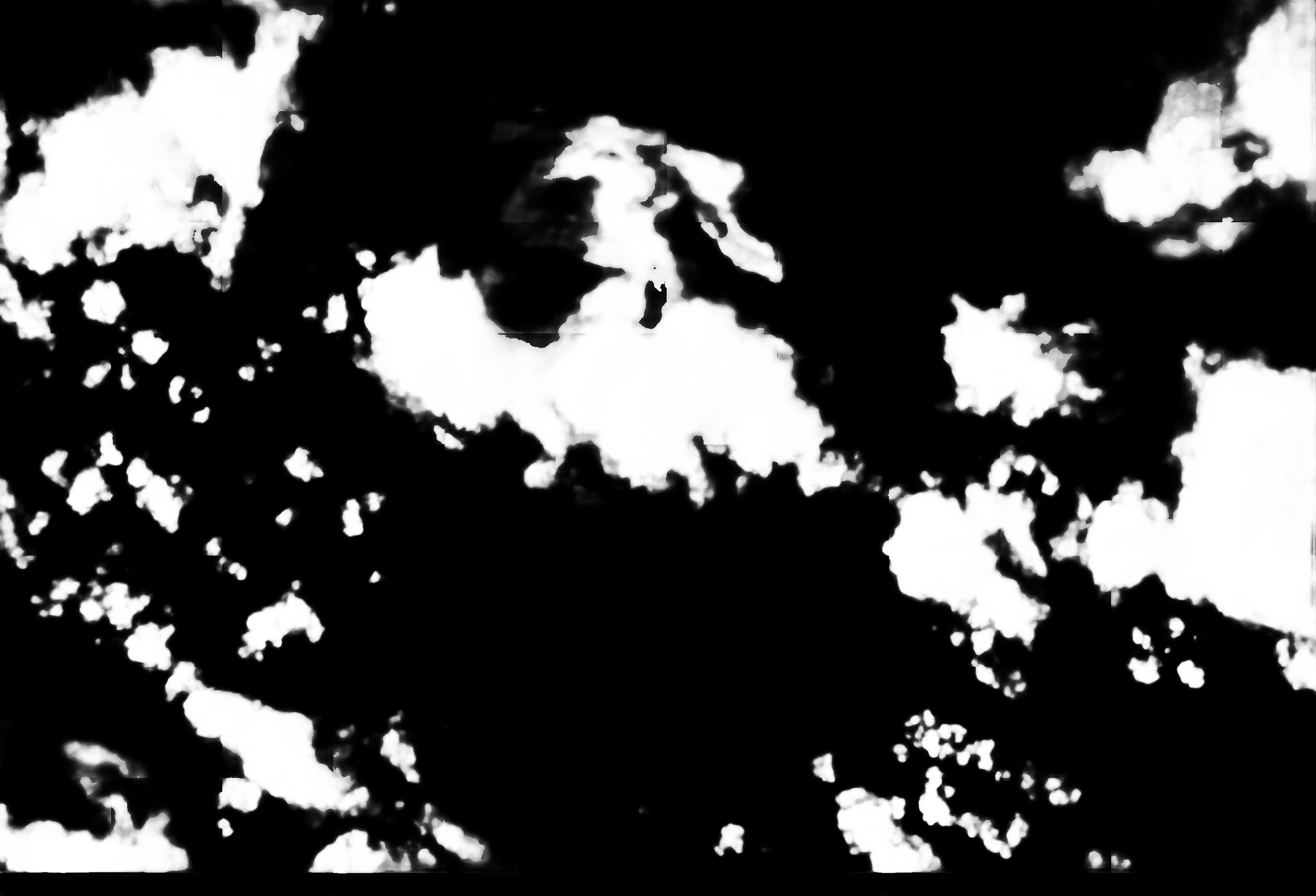 cloud mask image display 