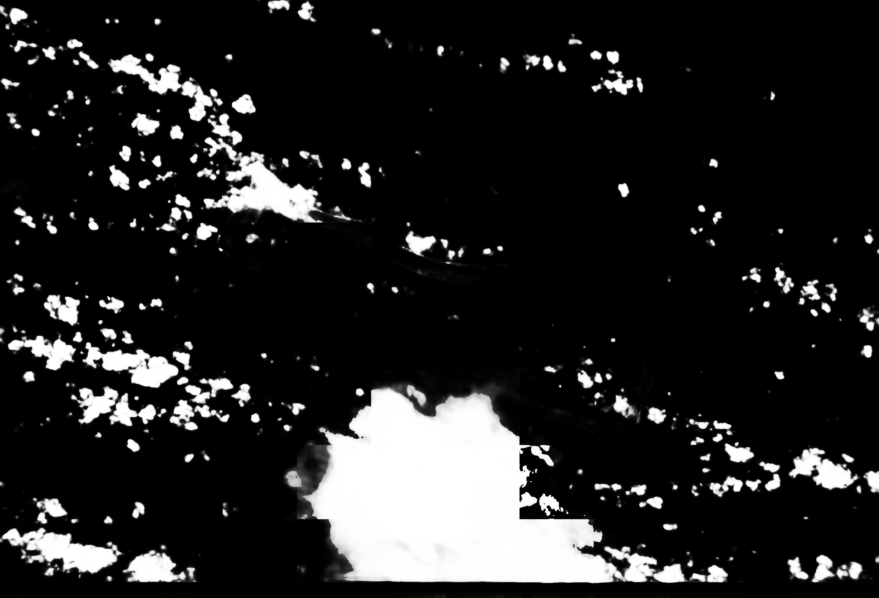 cloud mask image display 