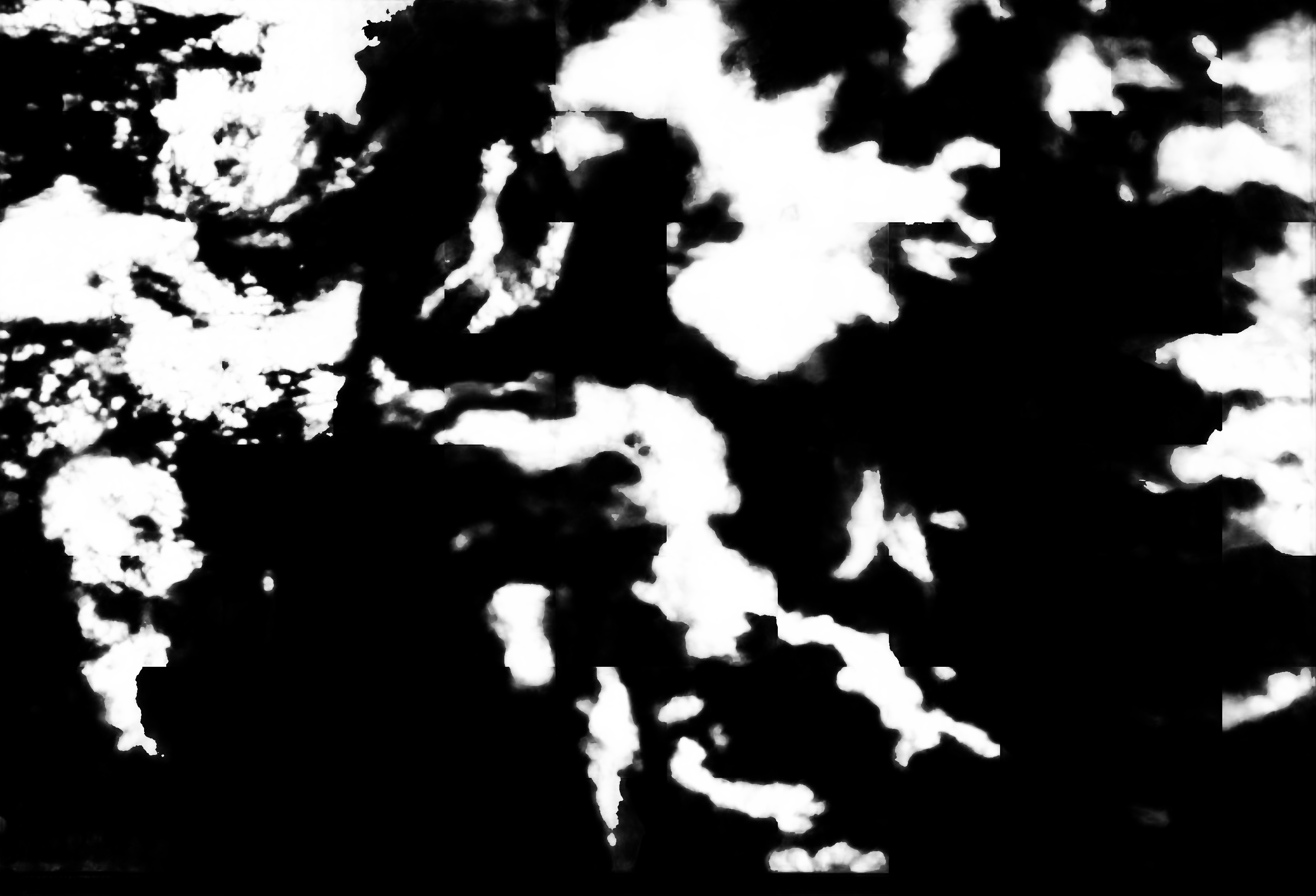 cloud mask image display 