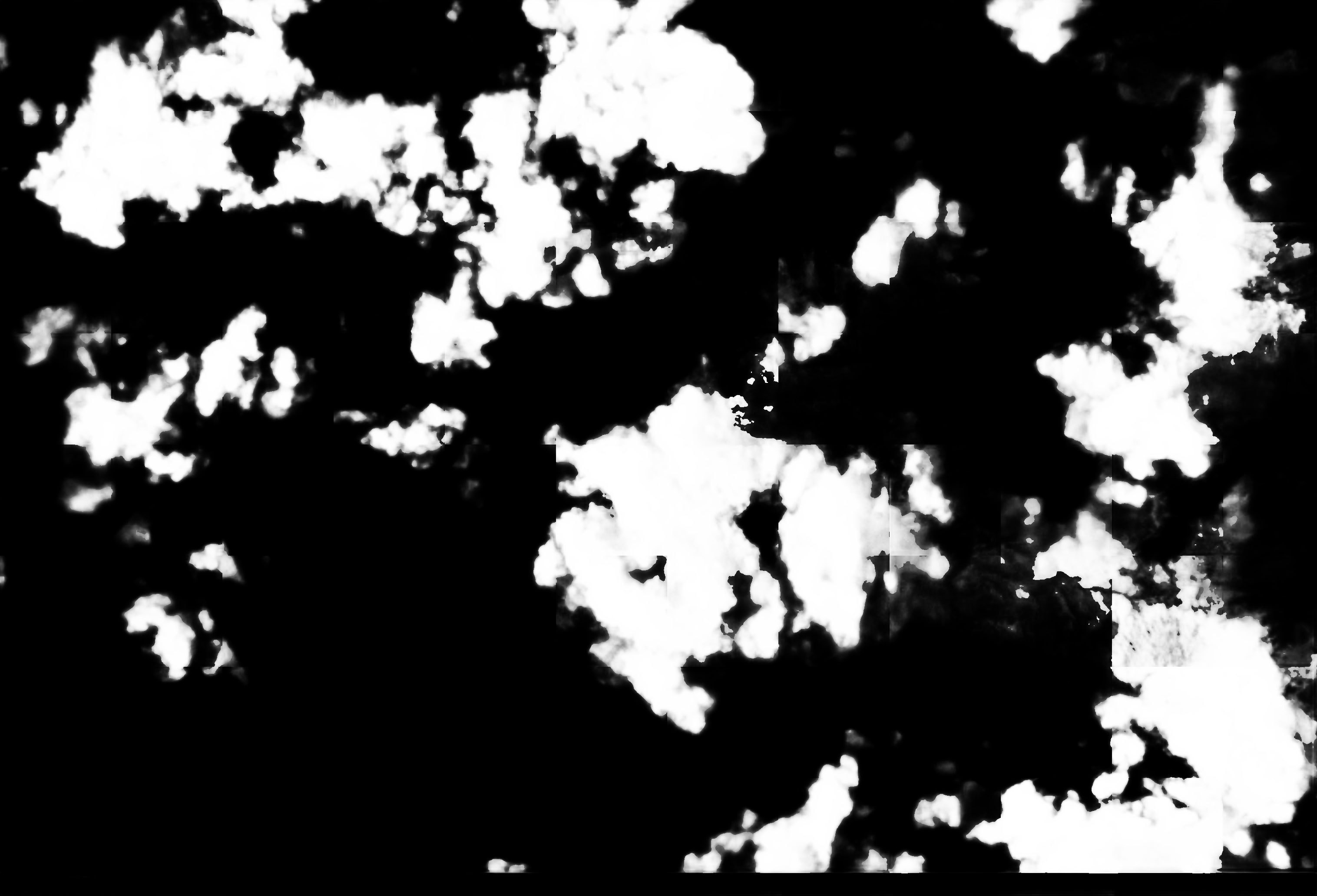 cloud mask image display 