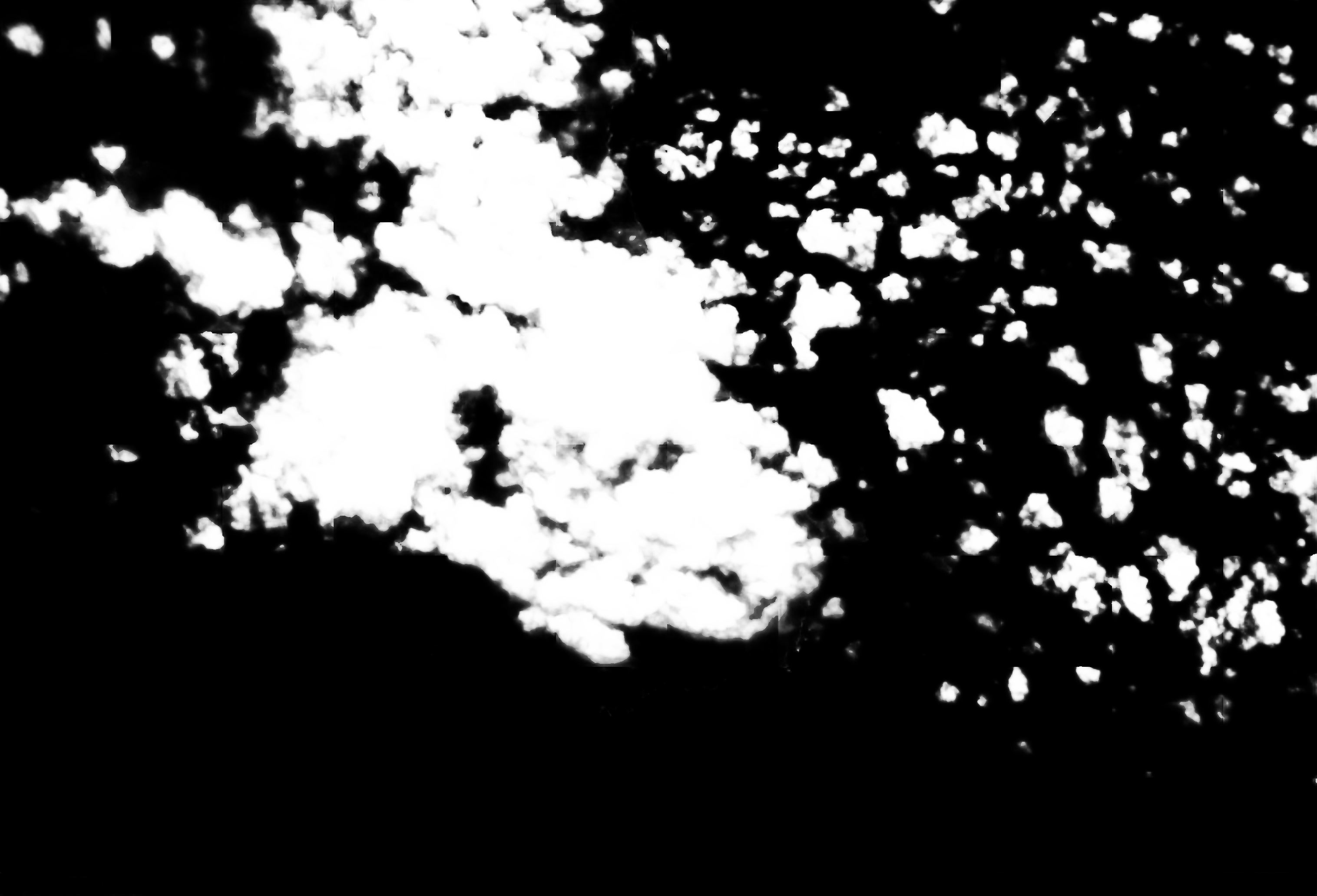 cloud mask image display 