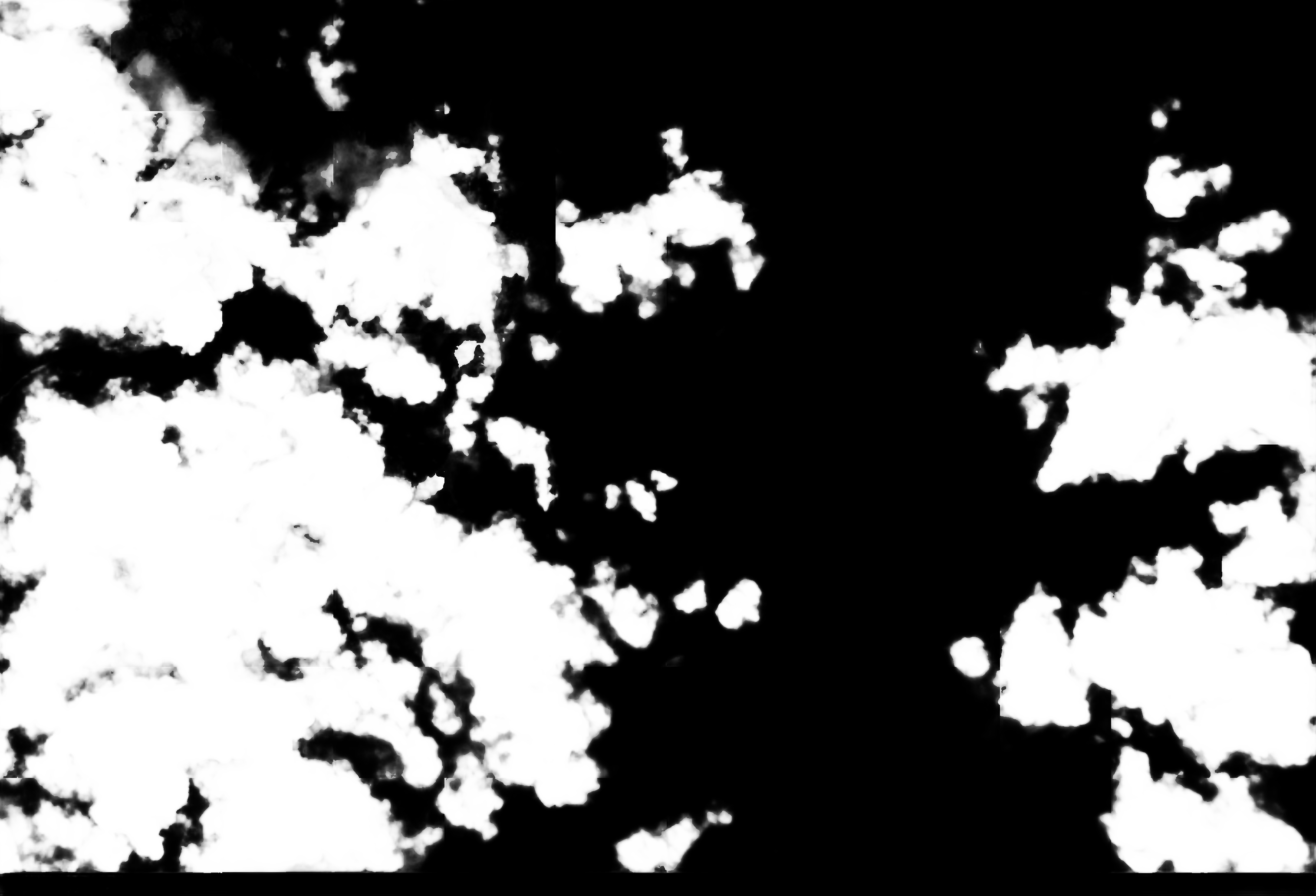 cloud mask image display 