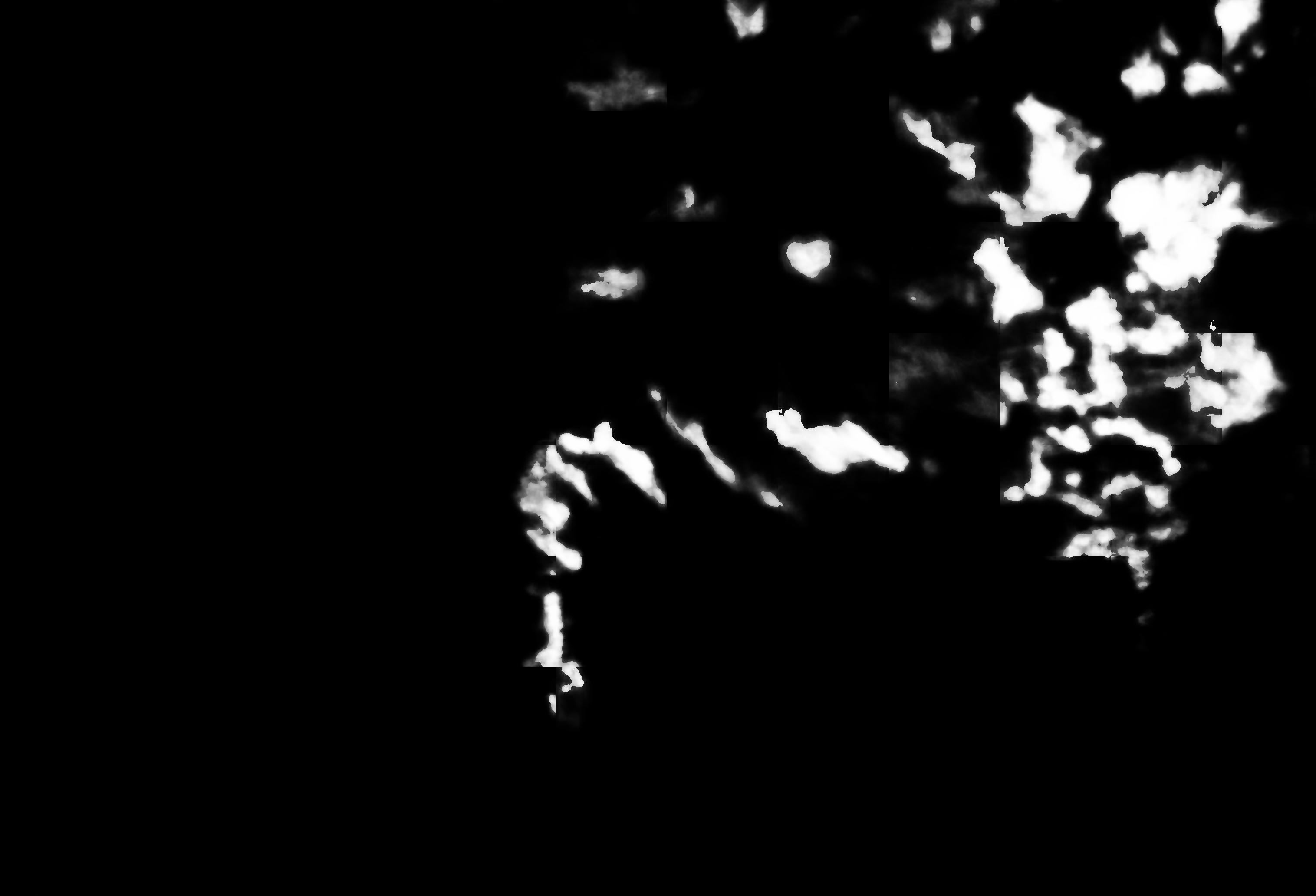 cloud mask image display 