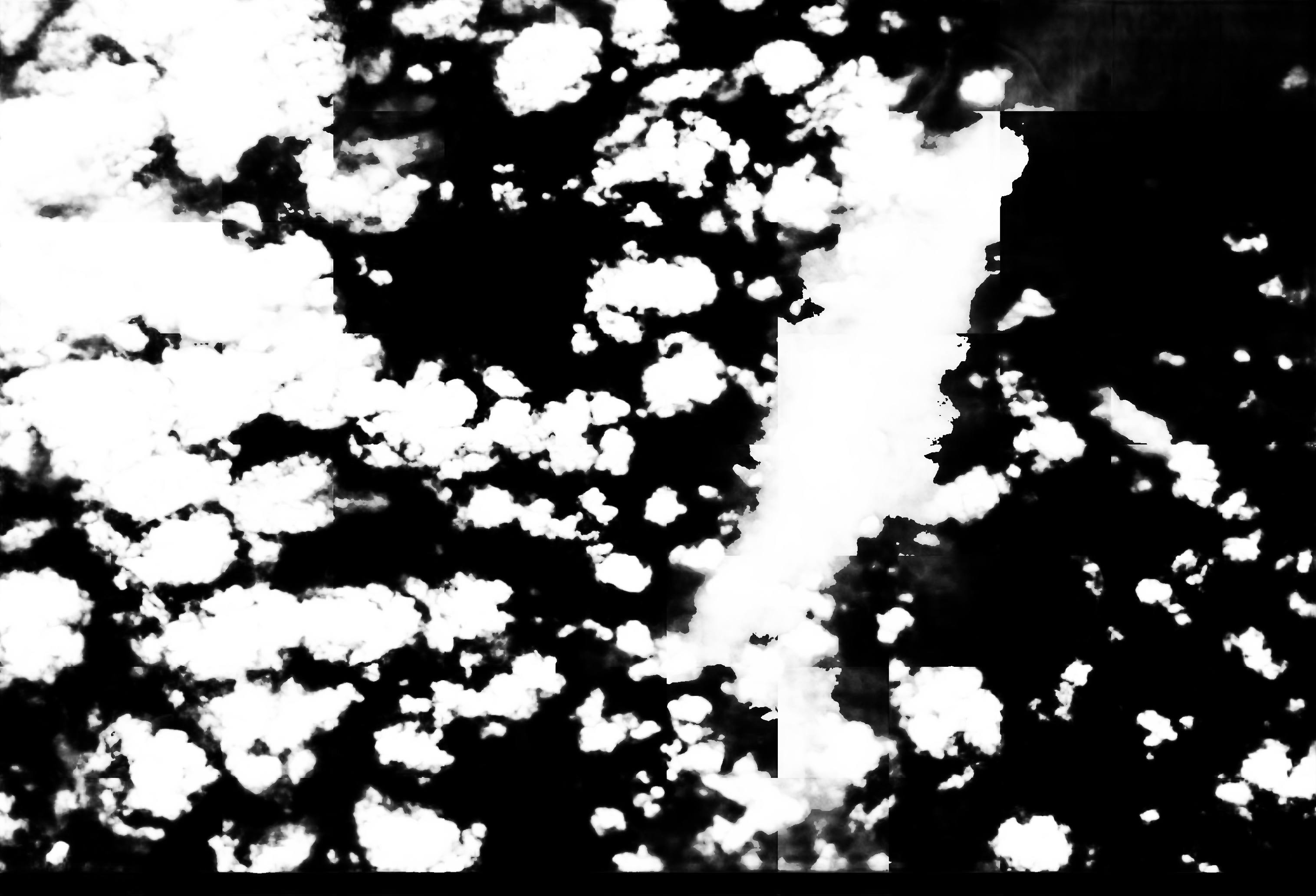 cloud mask image display 