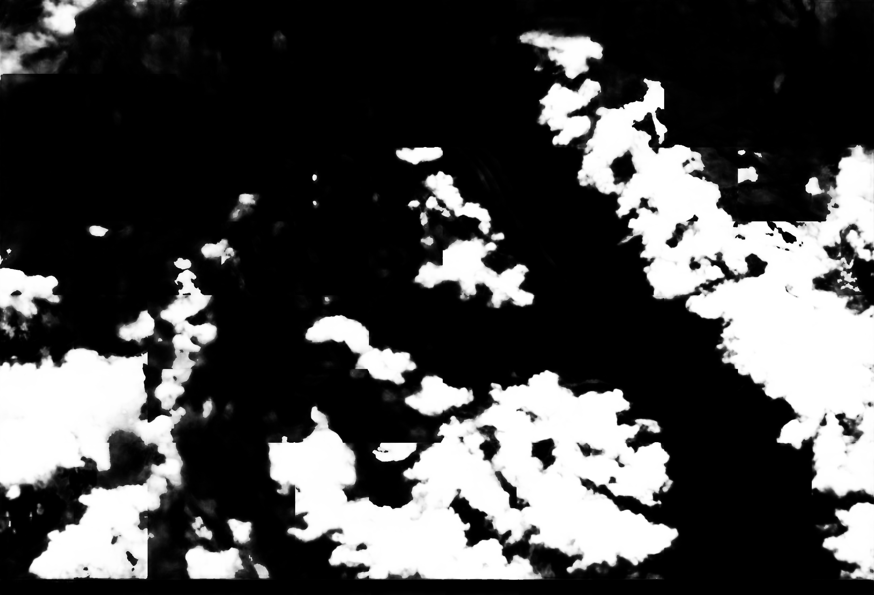 cloud mask image display 