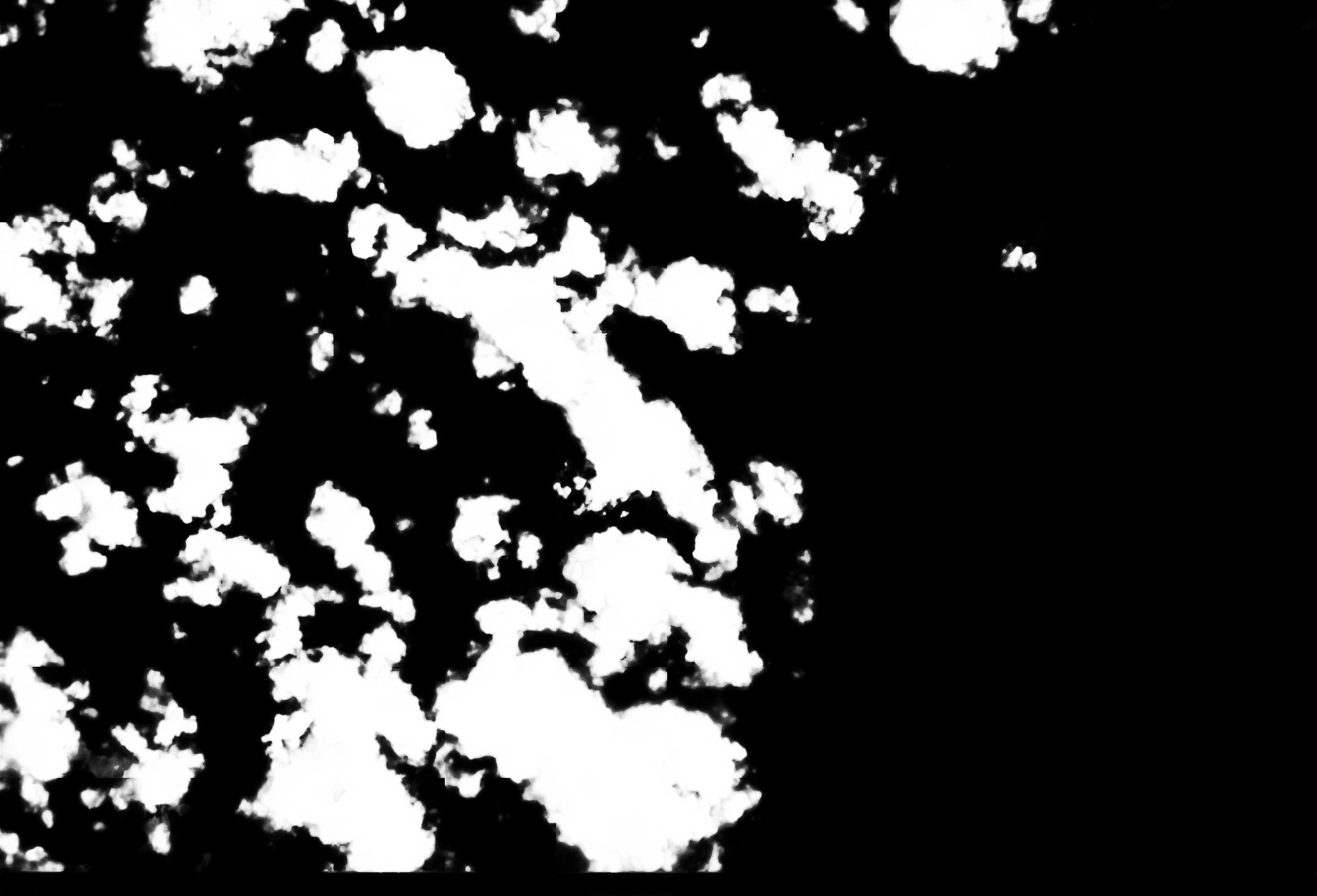 cloud mask image display 