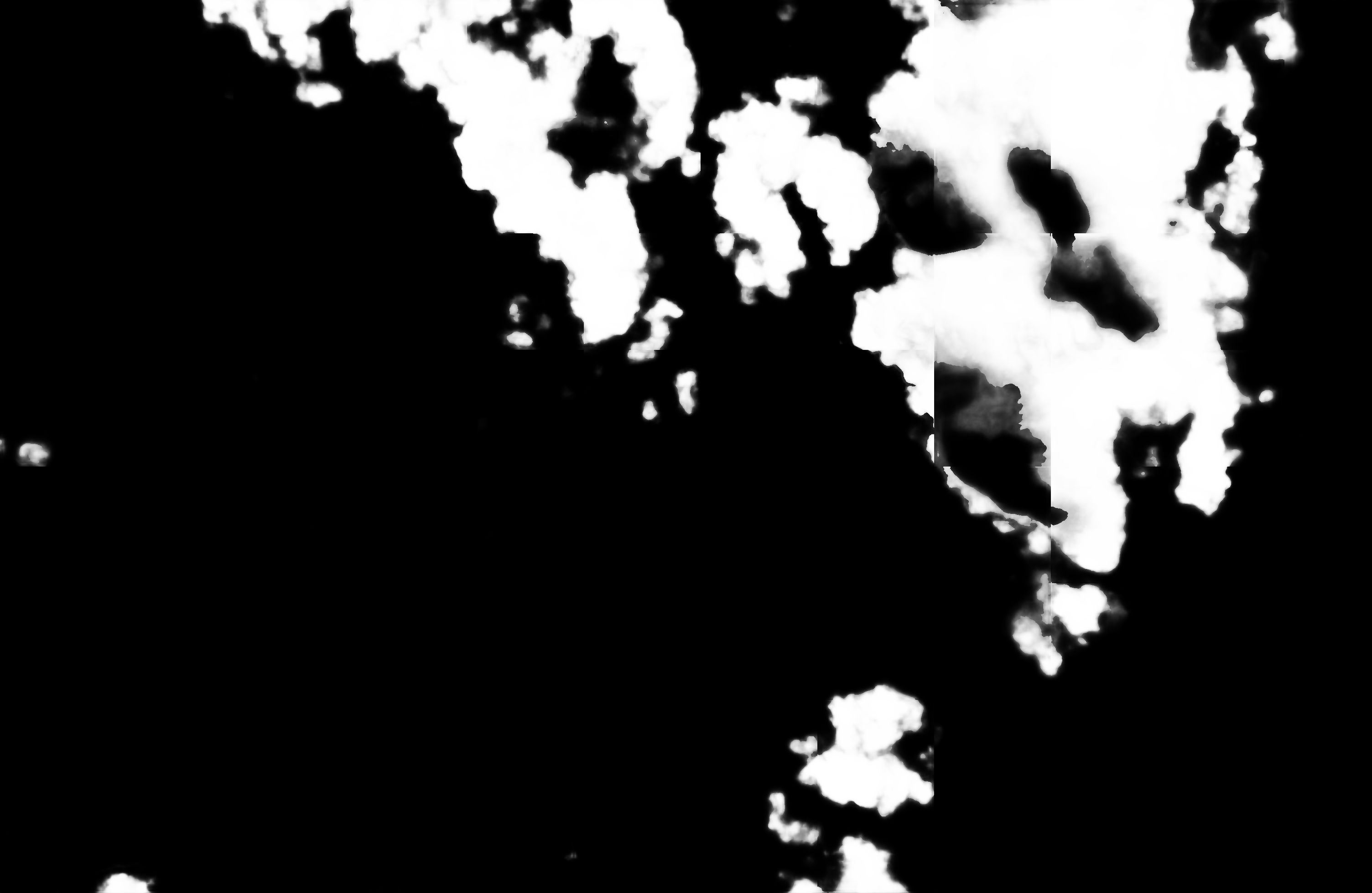 cloud mask image display 