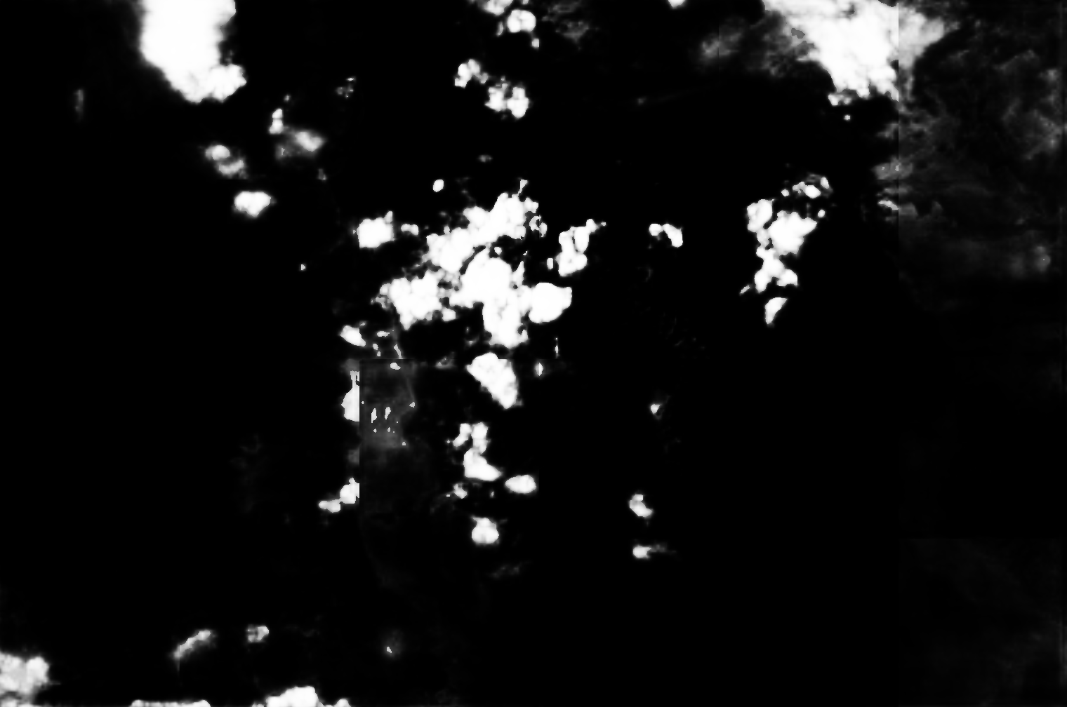 cloud mask image display 