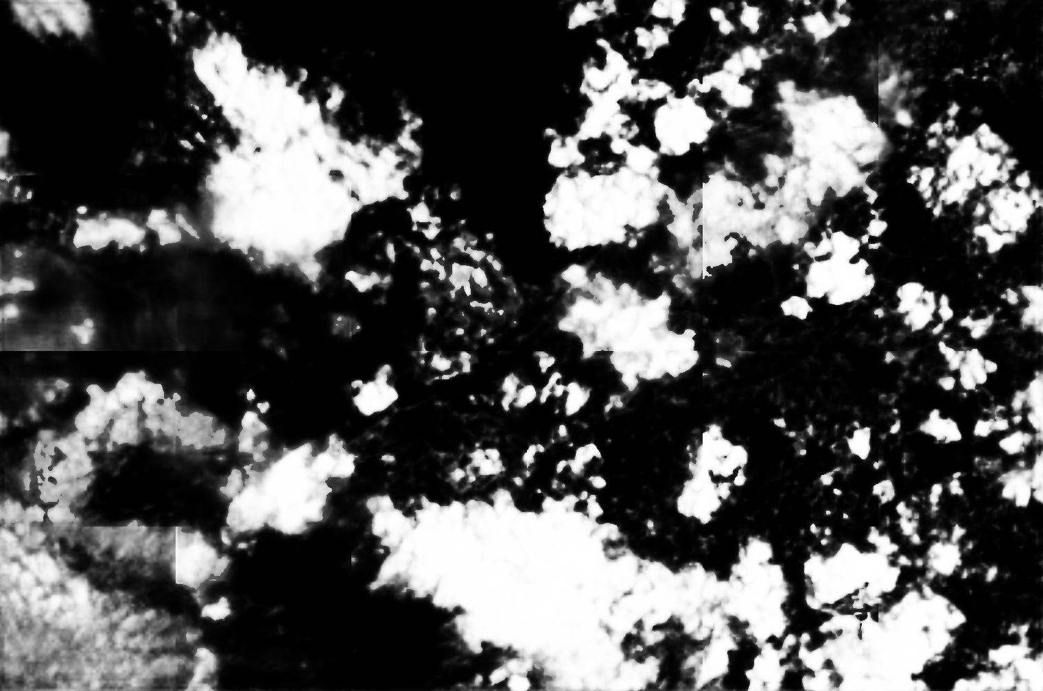 cloud mask image display 