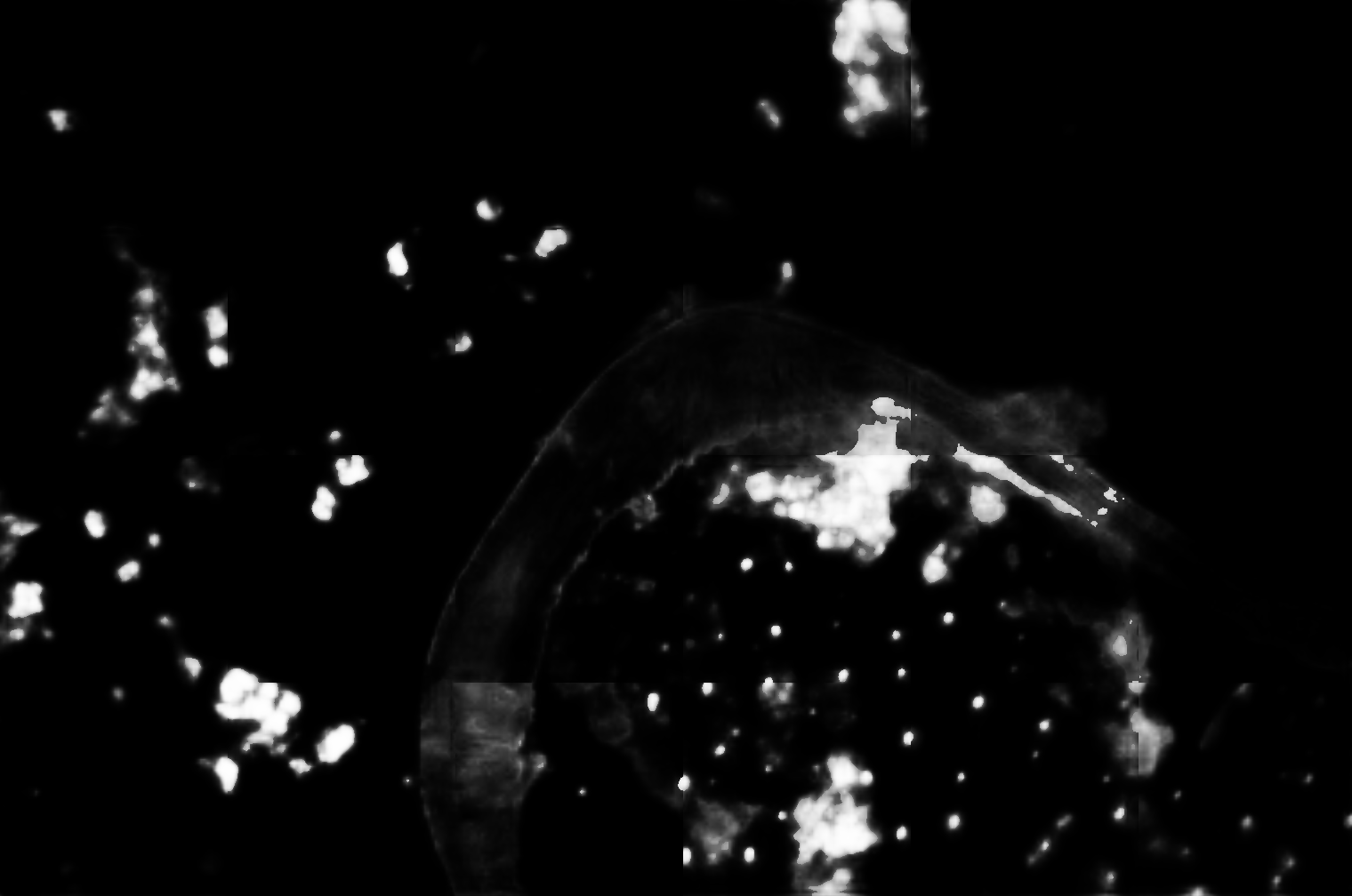 cloud mask image display 