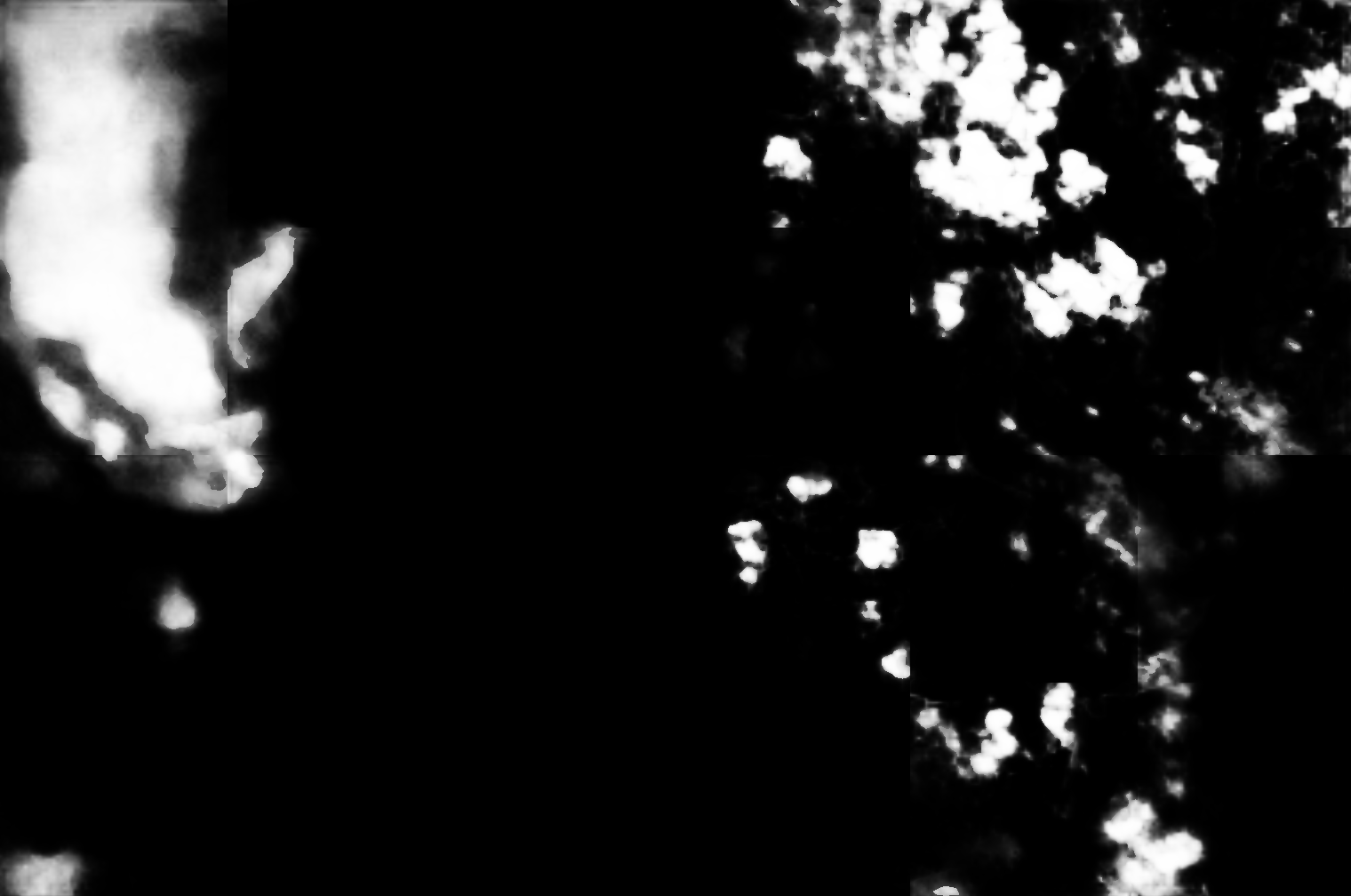 cloud mask image display 