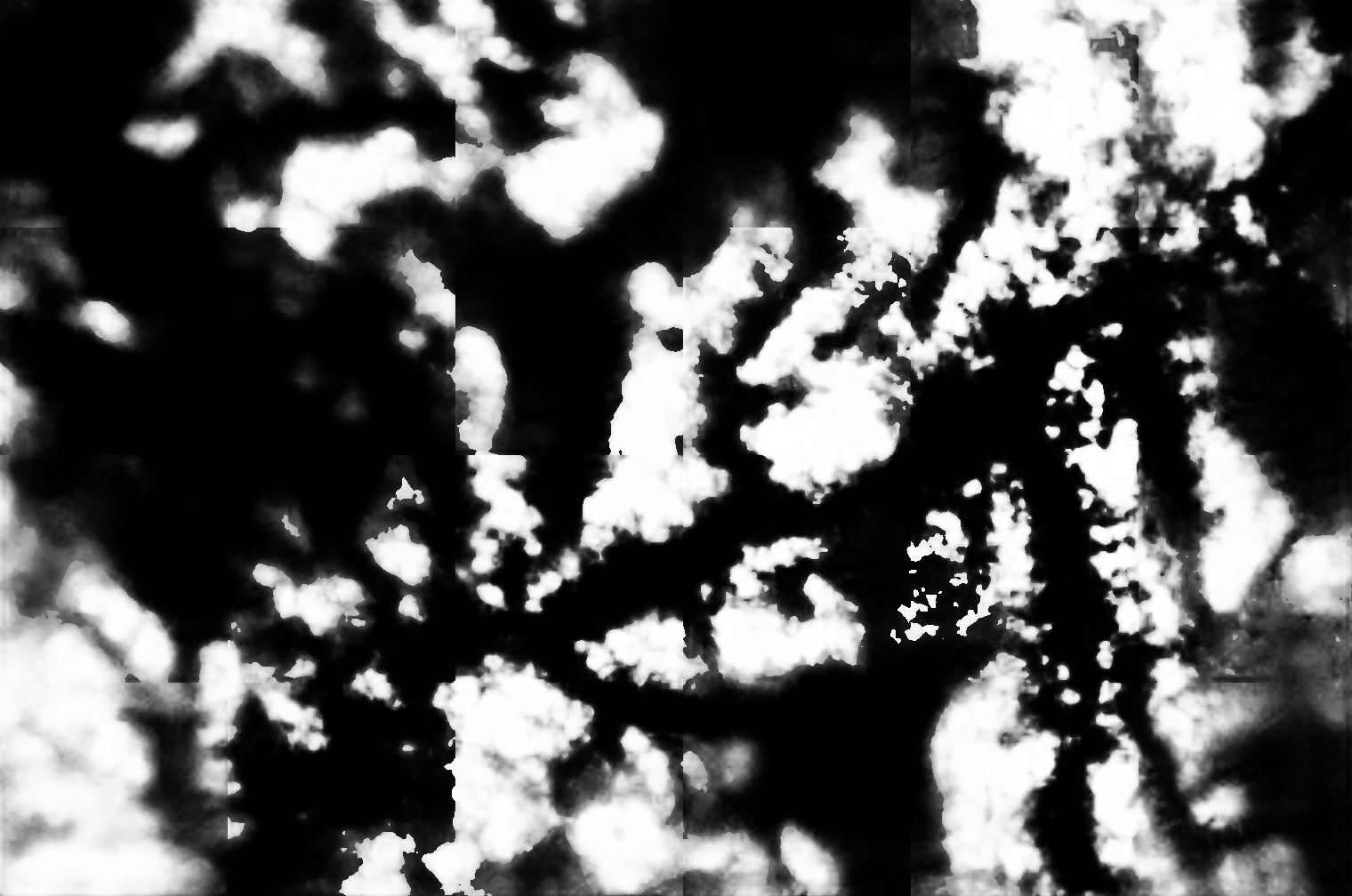 cloud mask image display 