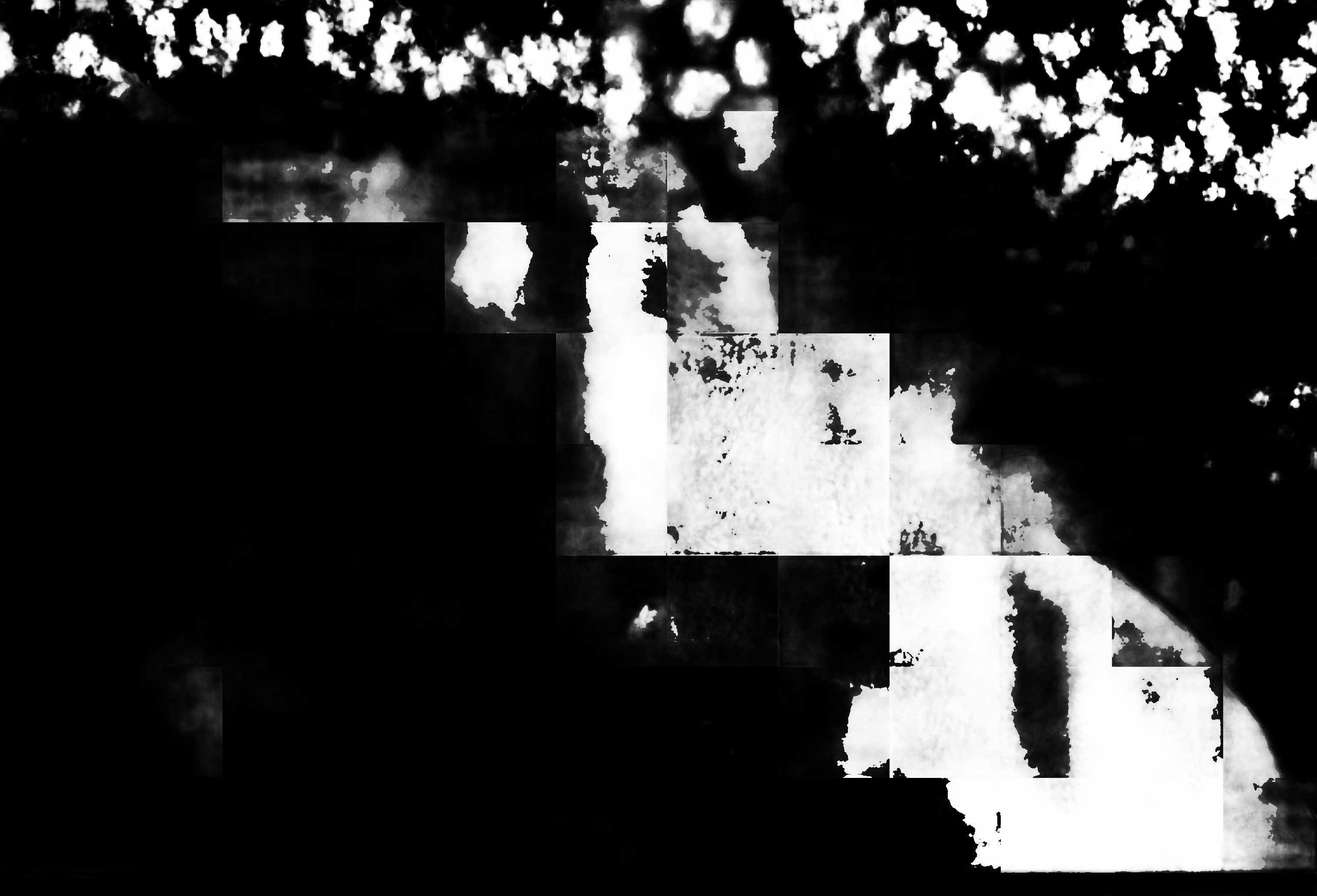 cloud mask image display 