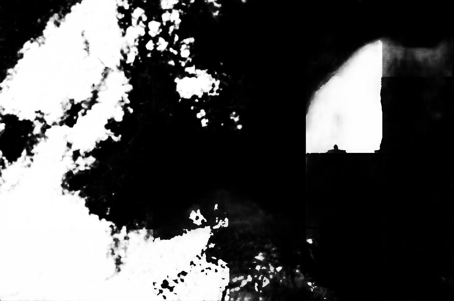 cloud mask image display 