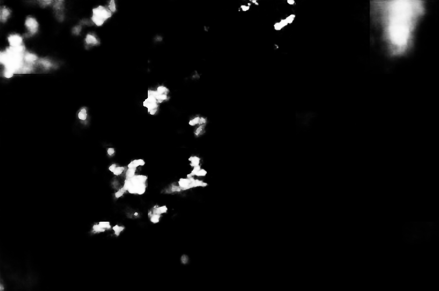 cloud mask image display 