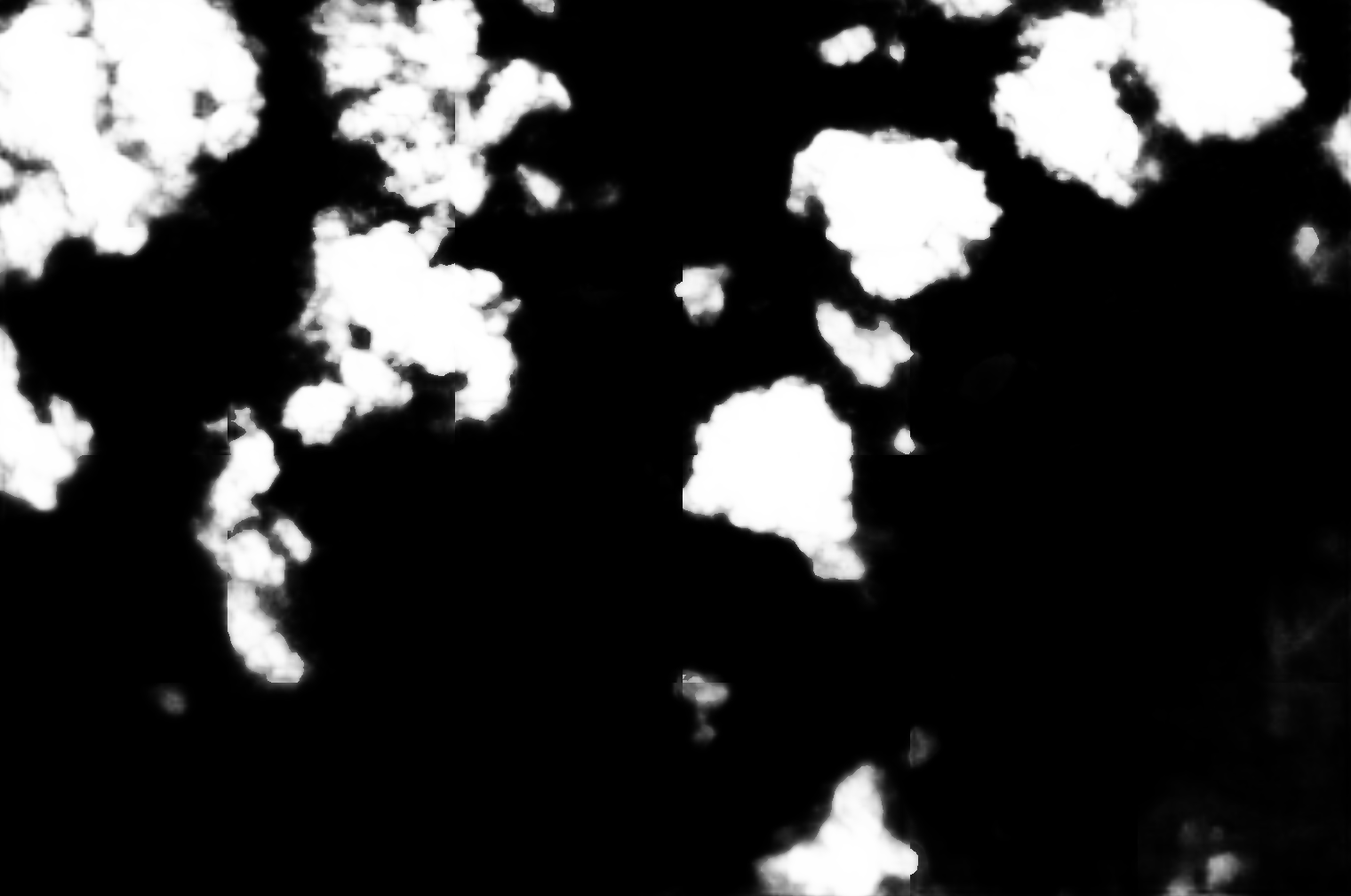 cloud mask image display 