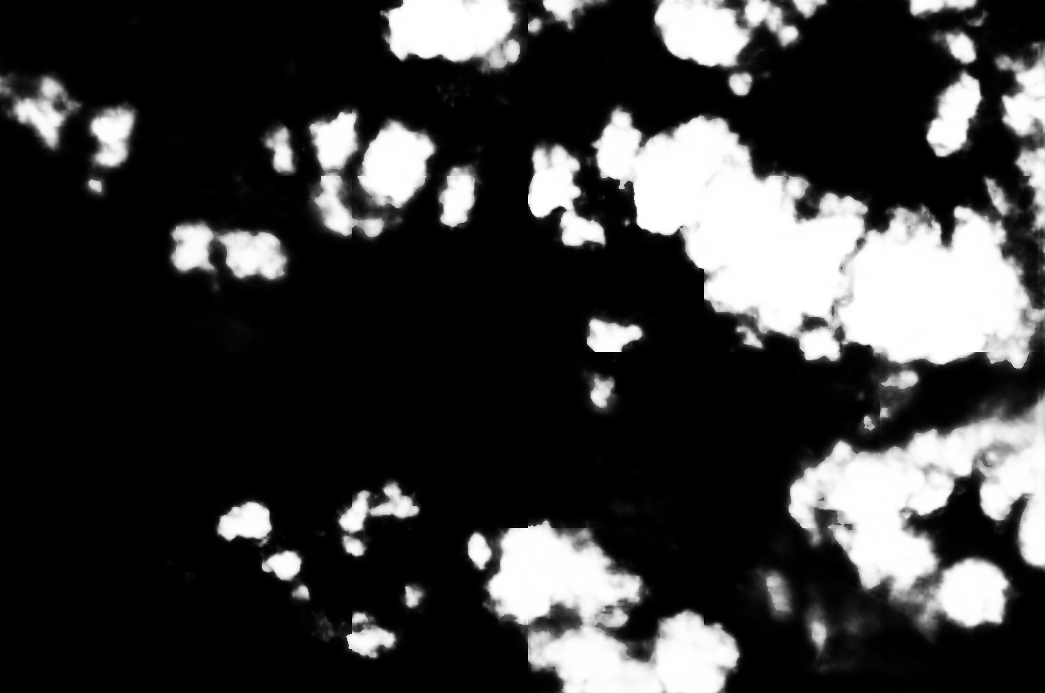 cloud mask image display 