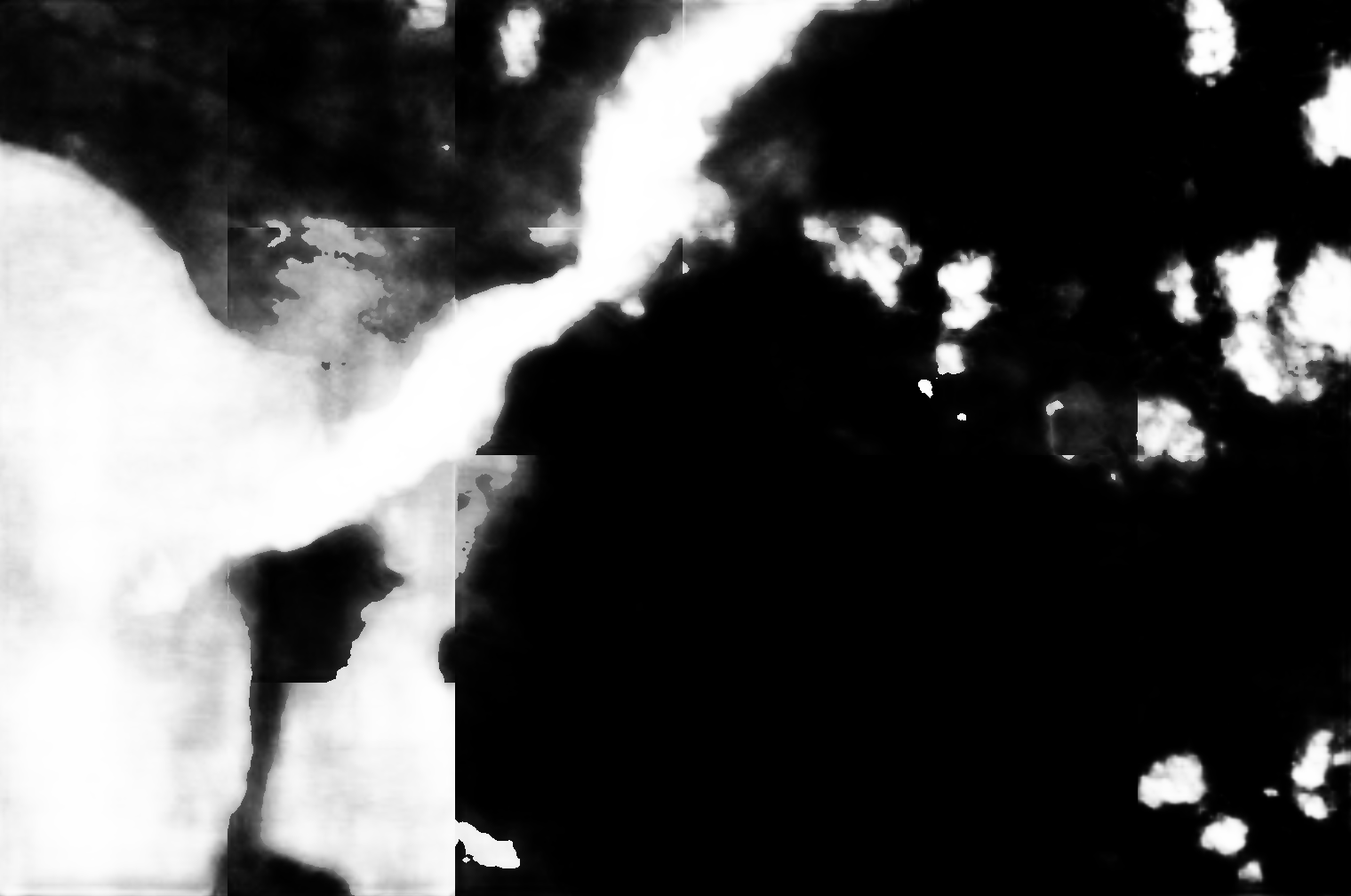 cloud mask image display 