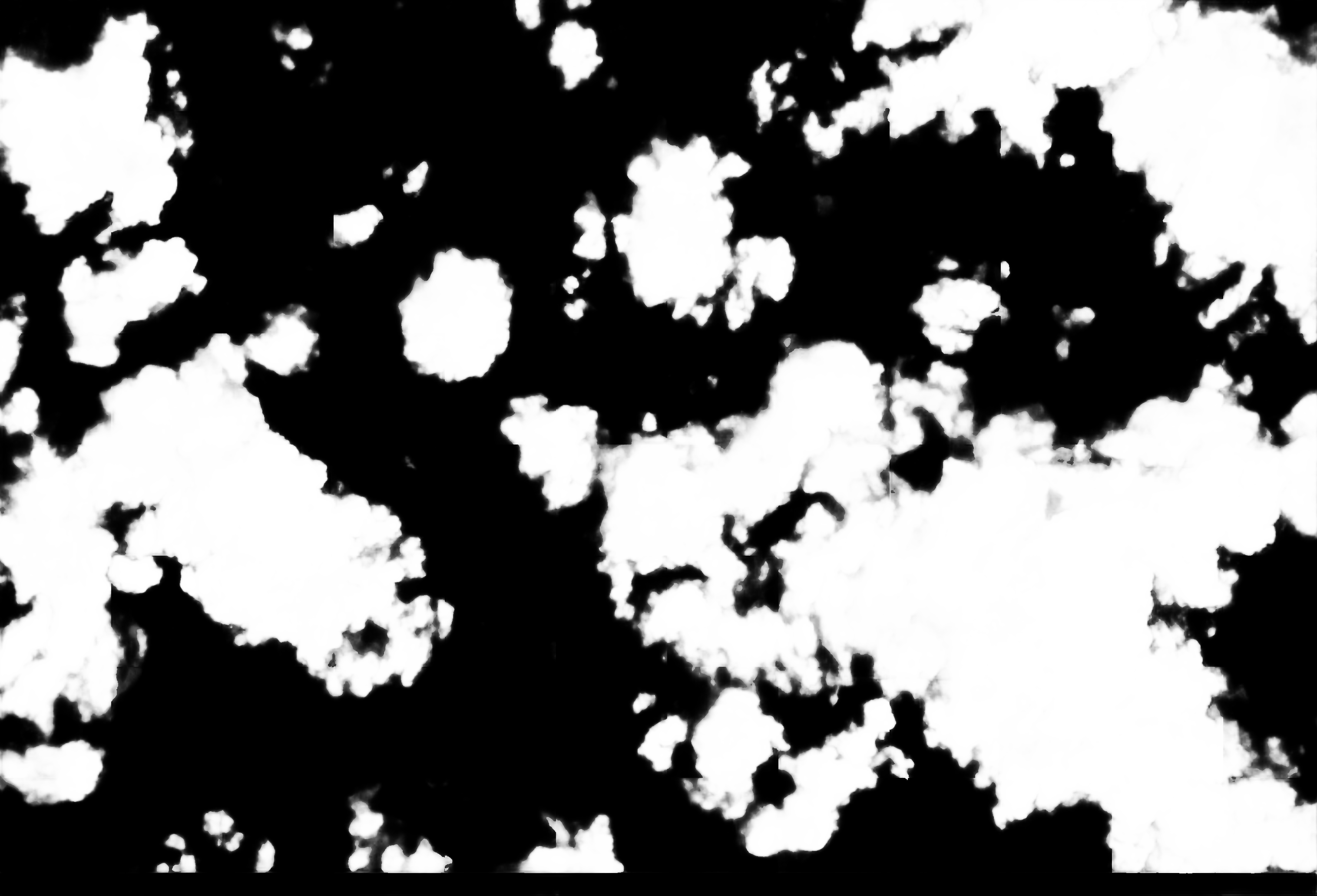 cloud mask image display 