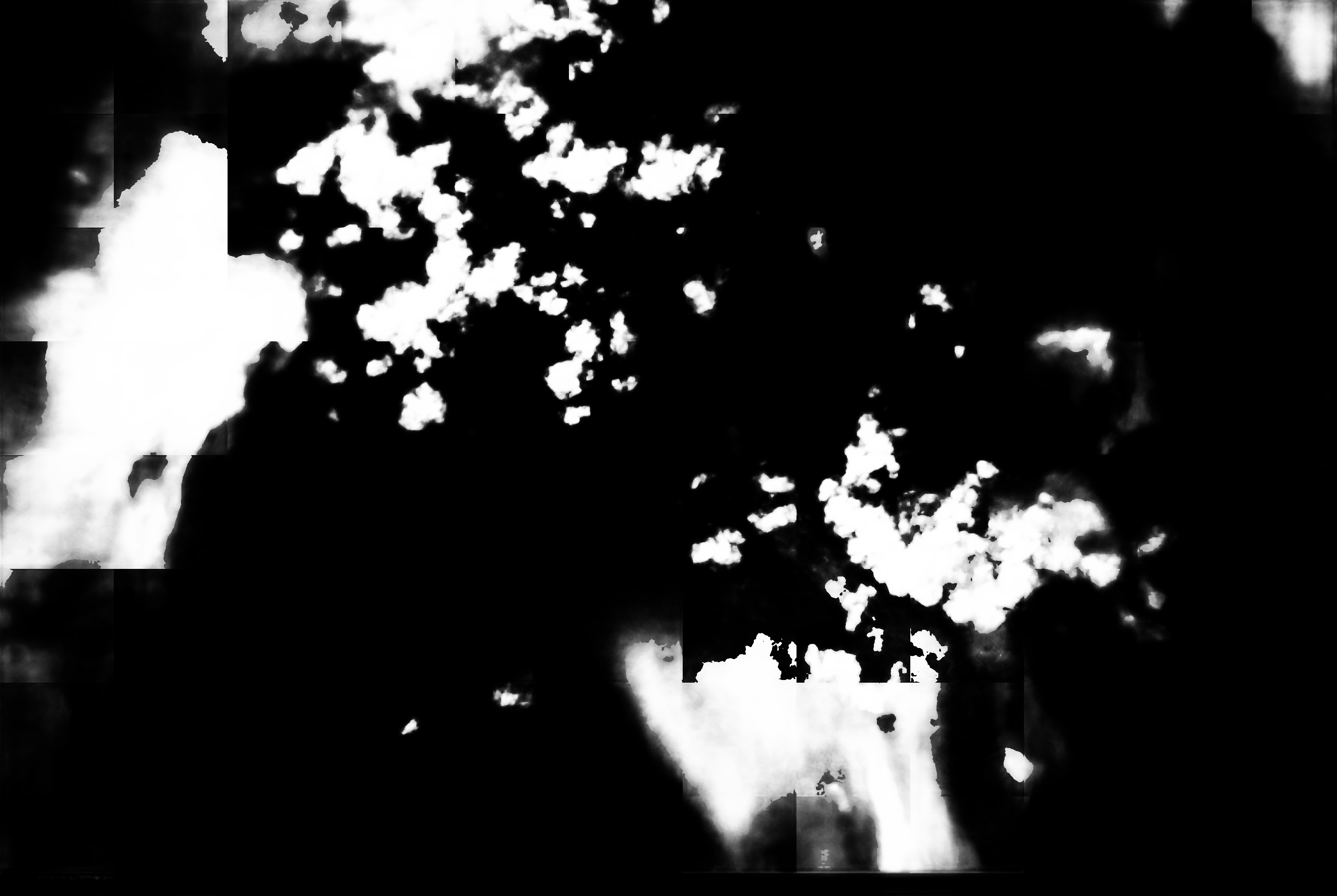 cloud mask image display 