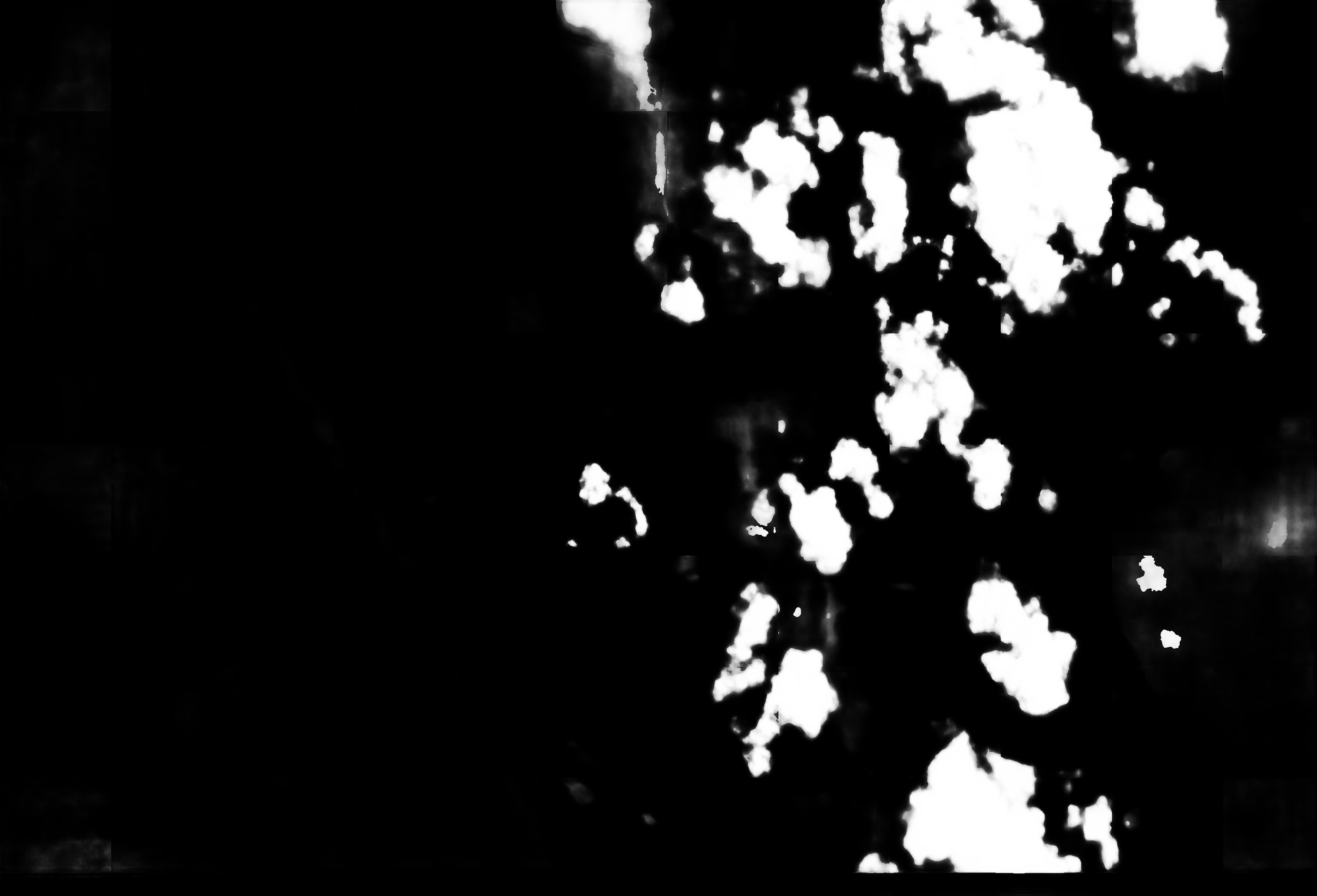 cloud mask image display 