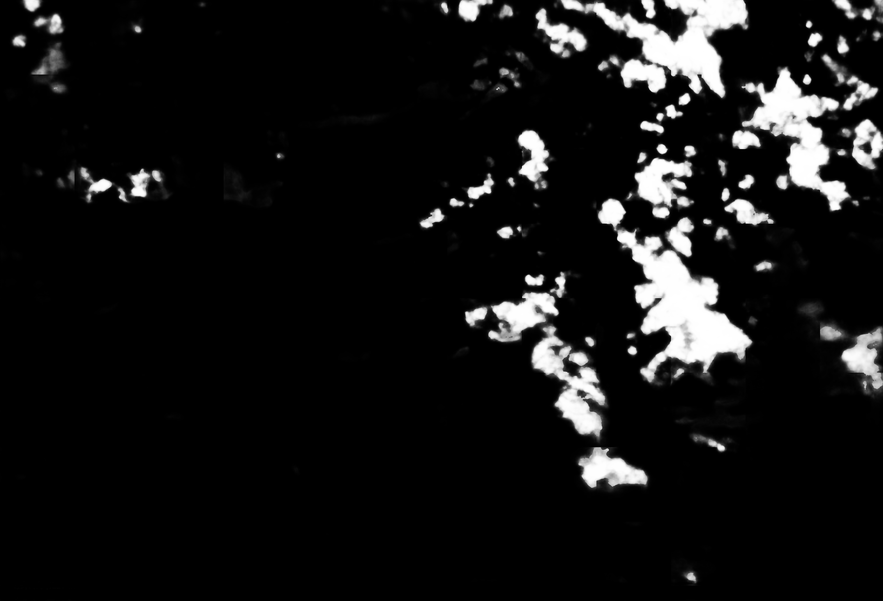 cloud mask image display 