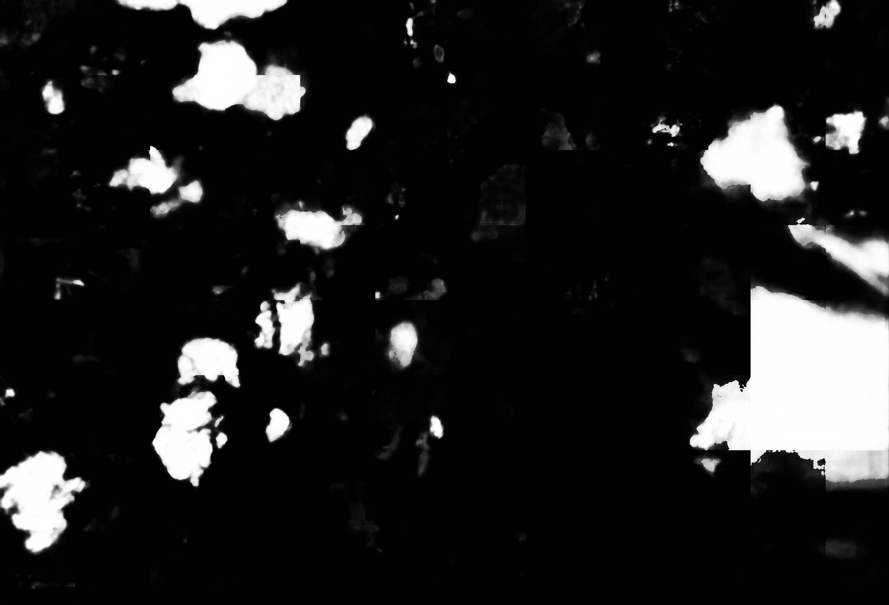 cloud mask image display 