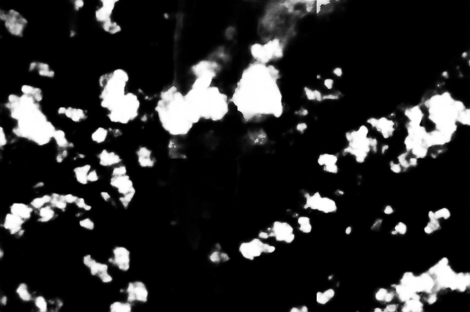 cloud mask image display 