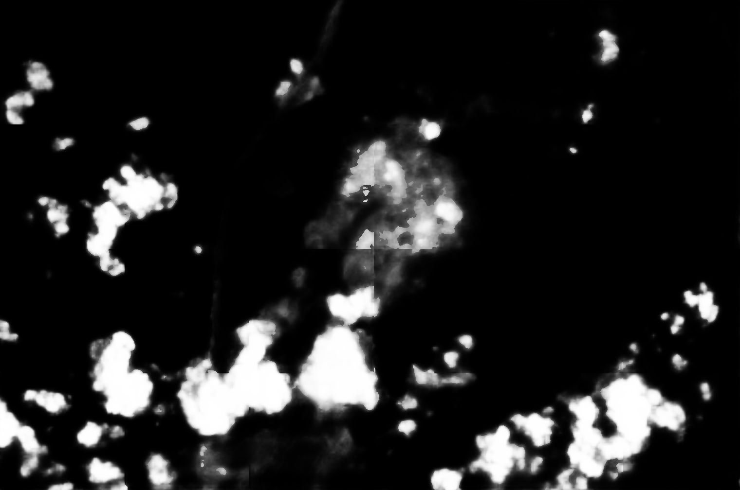 cloud mask image display 