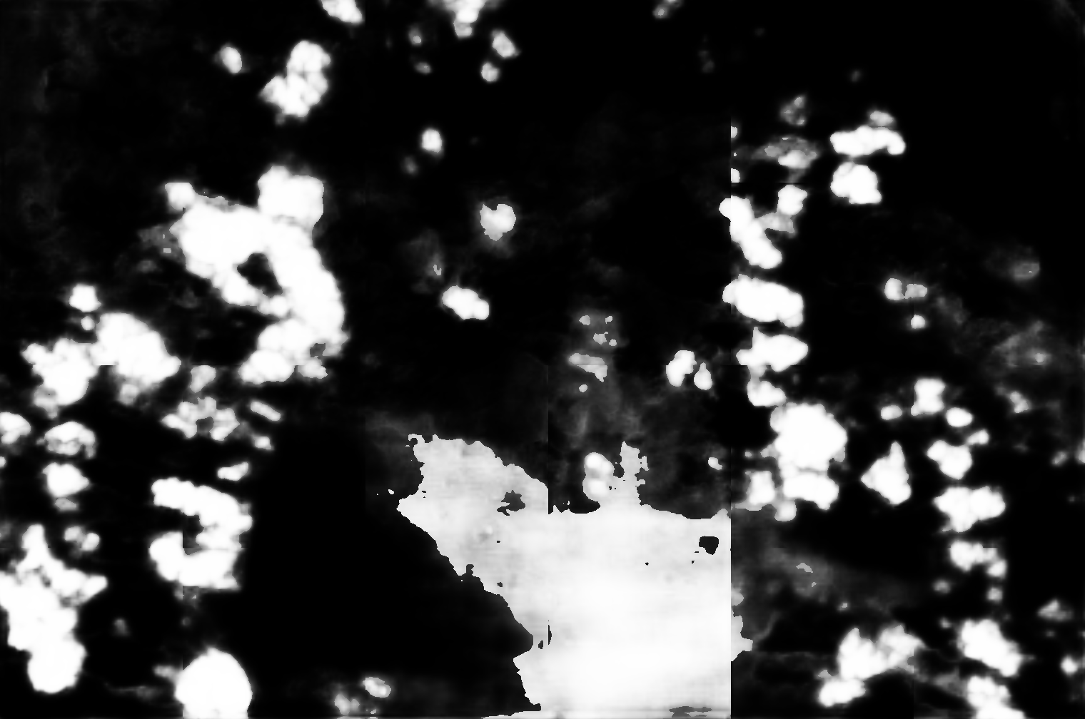 cloud mask image display 