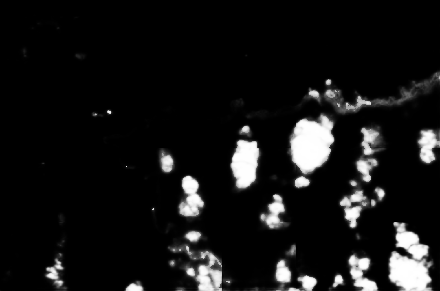 cloud mask image display 