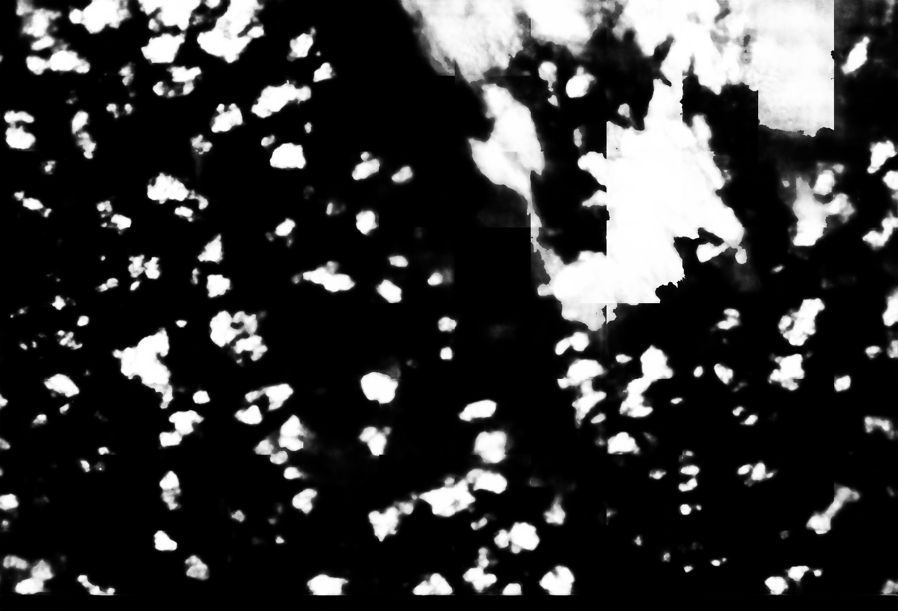 cloud mask image display 