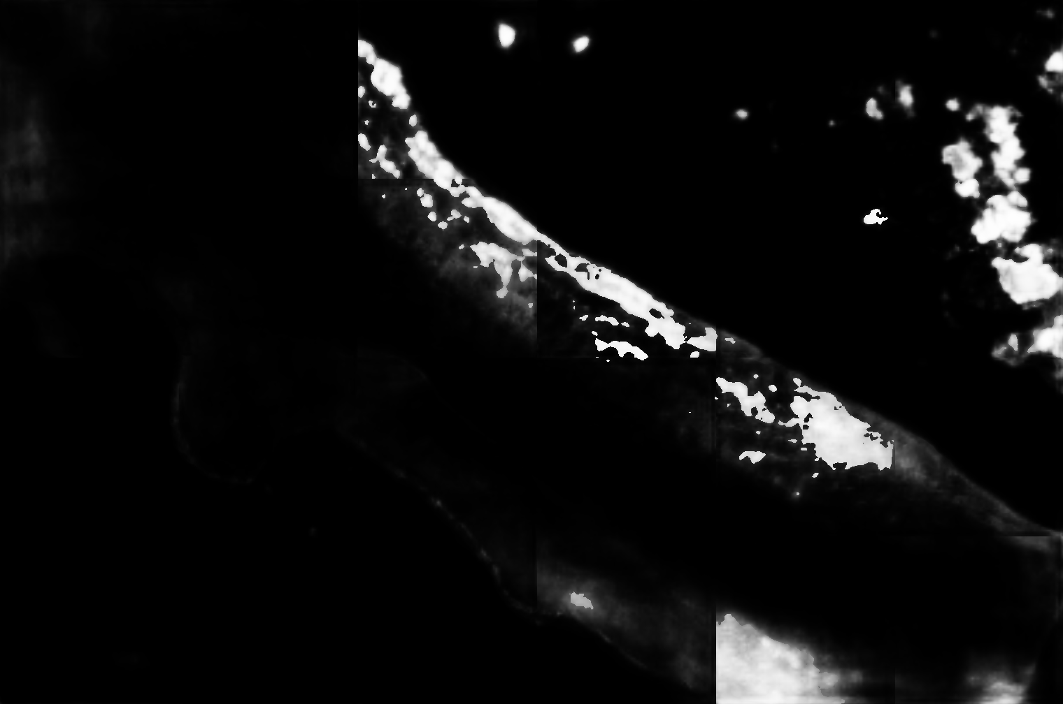 cloud mask image display 