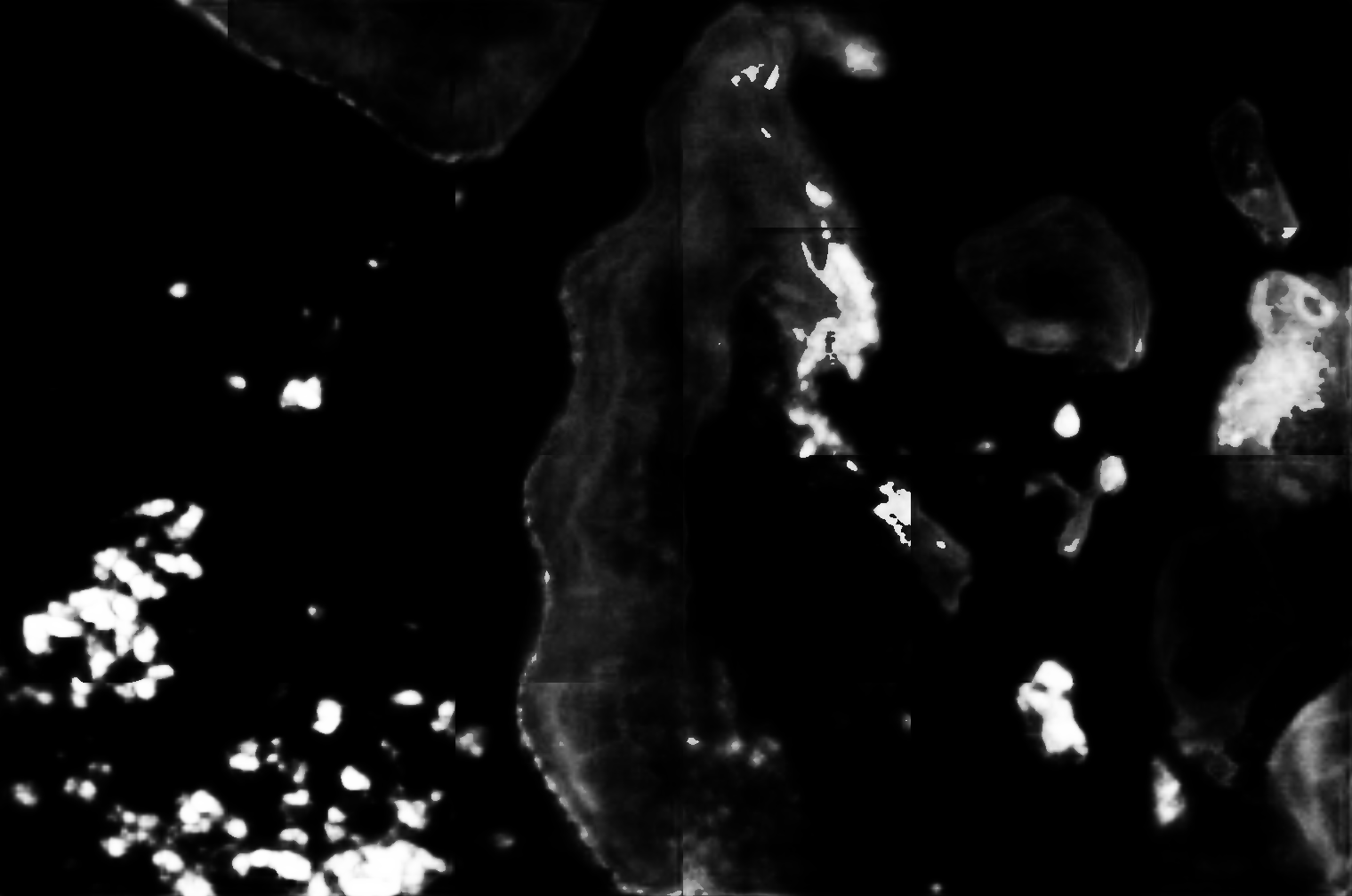 cloud mask image display 